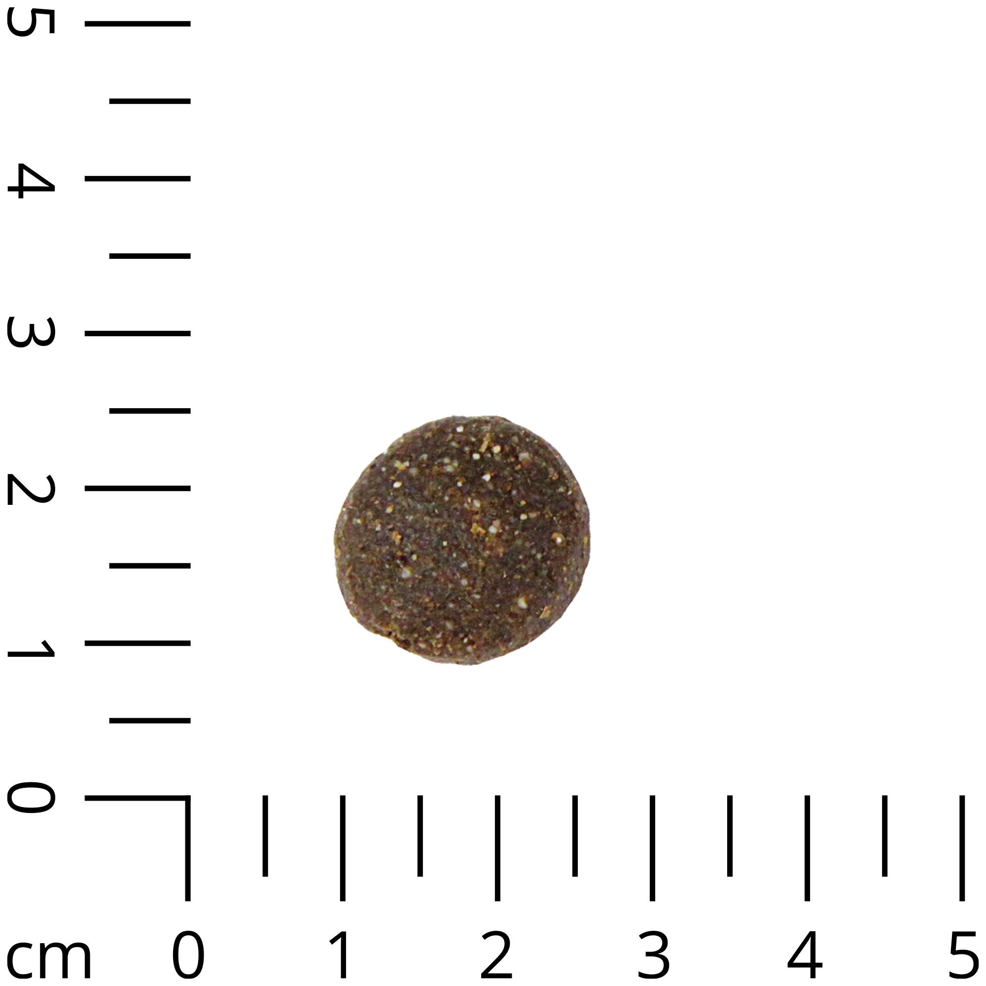Schecker Trockenfutter -&nbsp; Kaninchen u Hirse Premium