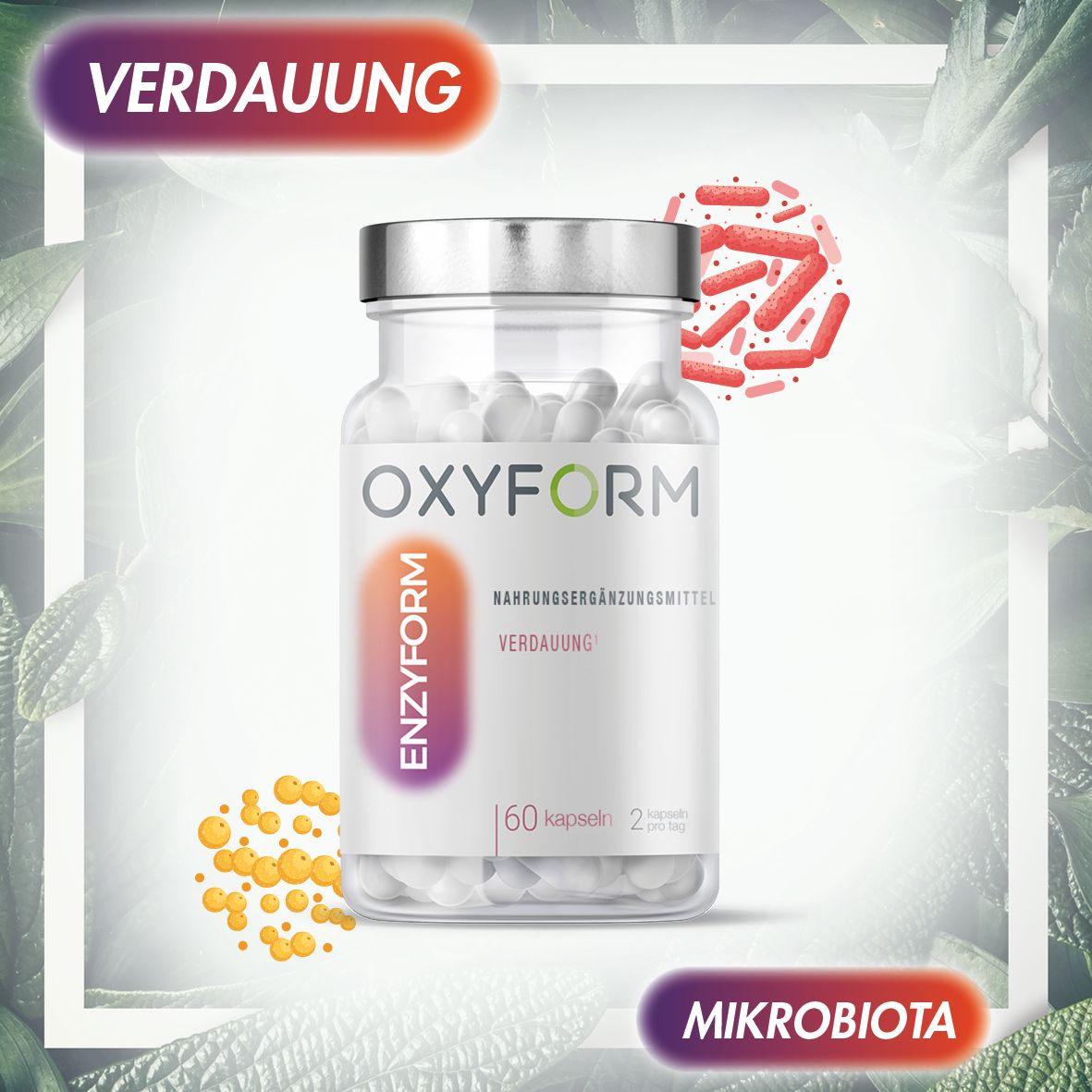 Klare Flasche mit Kapseln. Etikett mit "OXYFORM", "ENZYFORM" und "Nahrungsergänzungsmittel". Abbildungen von Bakterien.