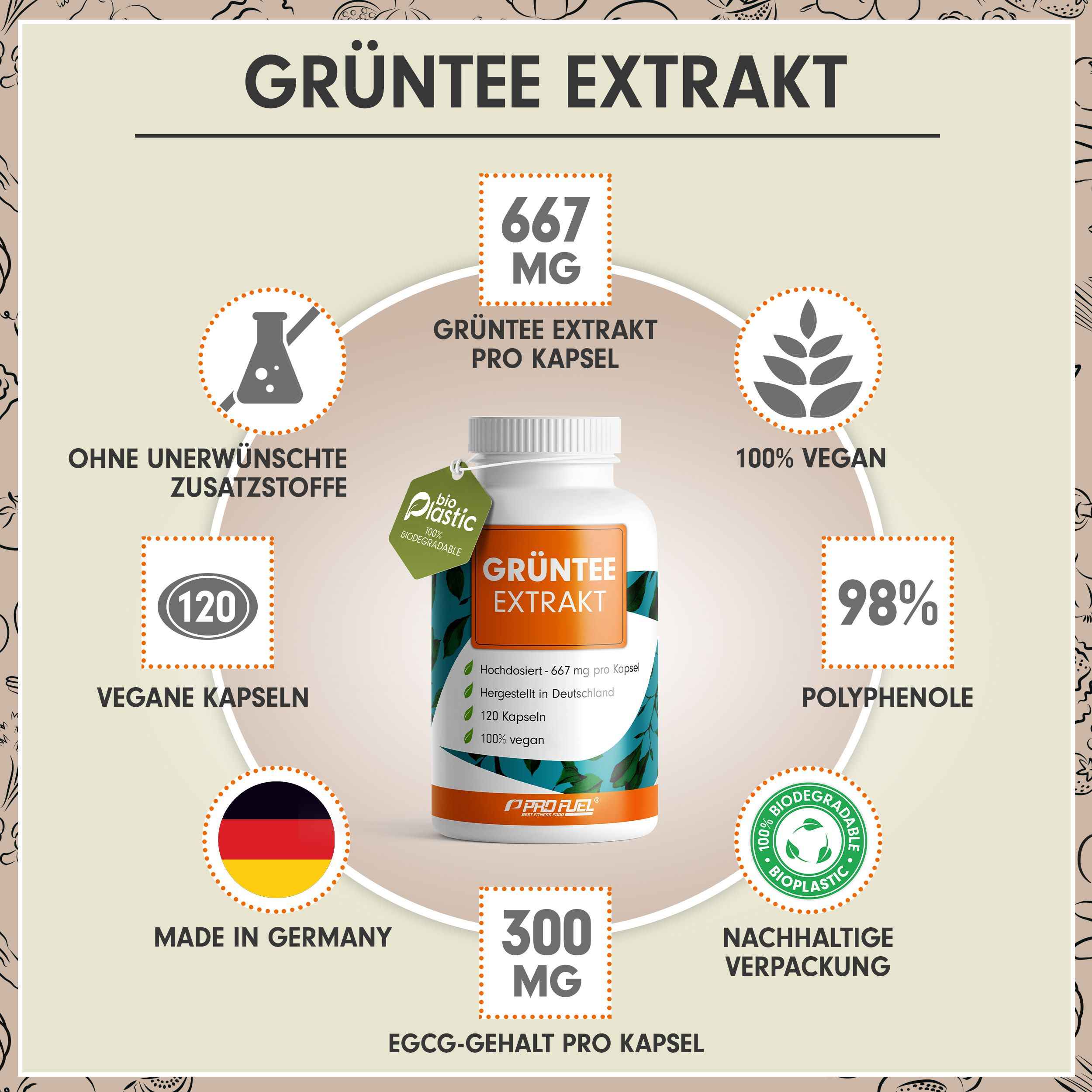 ProFuel - GRÜNTEE Kapseln - hochdosiert mit 1333 mg Grüntee-Extrakt pro Tag, davon 600 mg EGCG