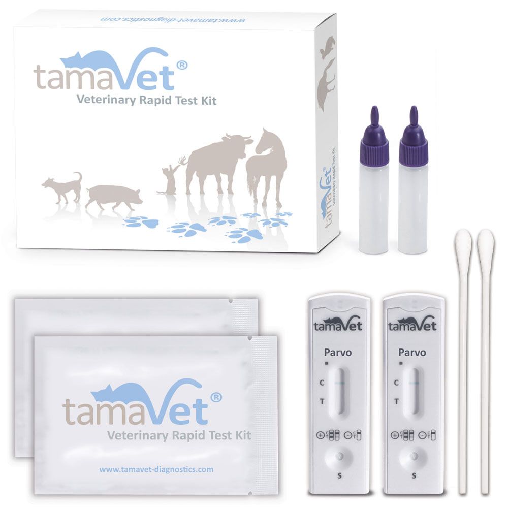 Kit für Veterinär-Schnelltests. Enthält Testkassetten, Fläschchen, Tupfer und Verpackung mit Logo und Tierabbildungen.