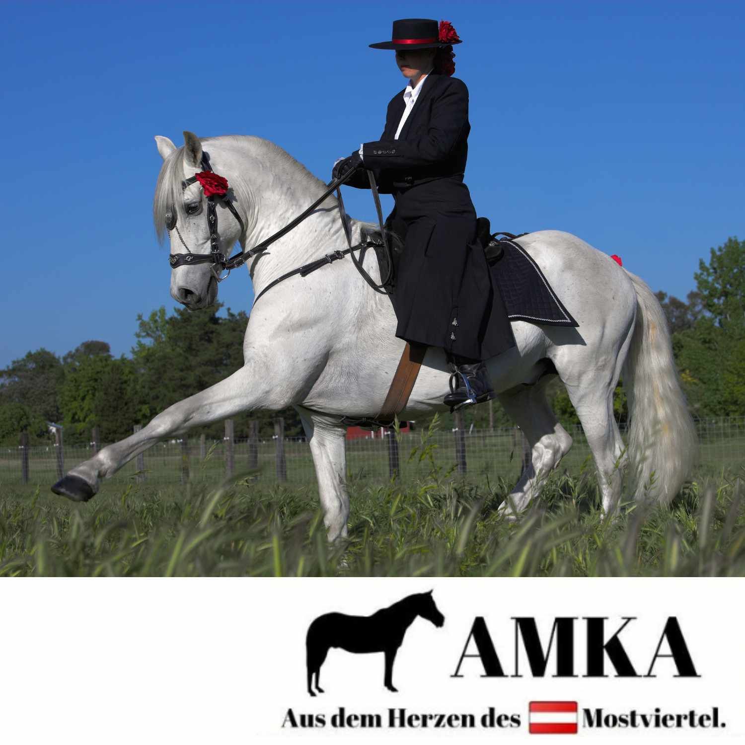 Reiterin auf weißem Pferd mit Trense. Logo: AMKA, Text: 'Aus dem Herzen des Mostviertel'.