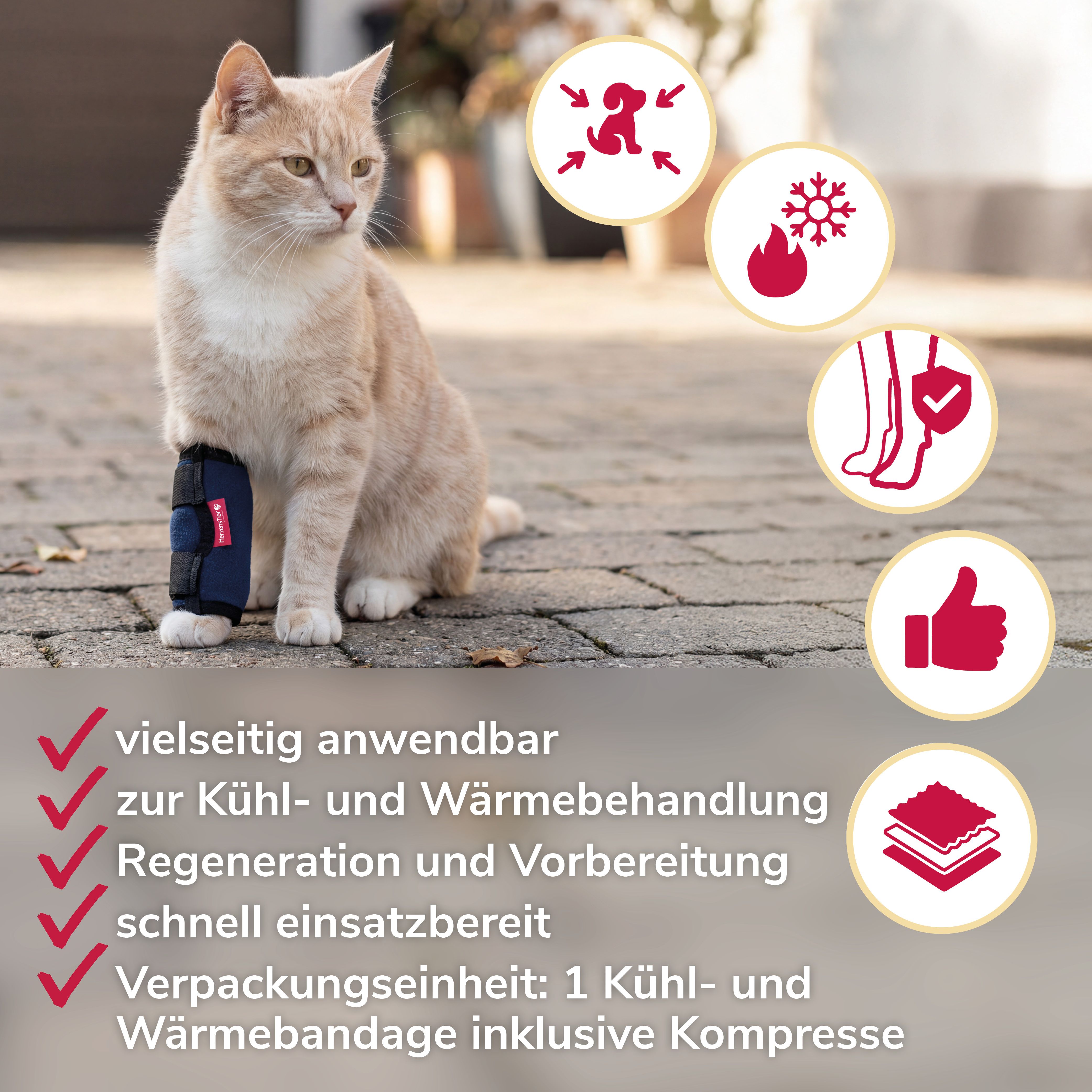 Katze mit blauer Kühl- und Wärmebandage am Bein. Icons zeigen Anwendungsbereiche.
