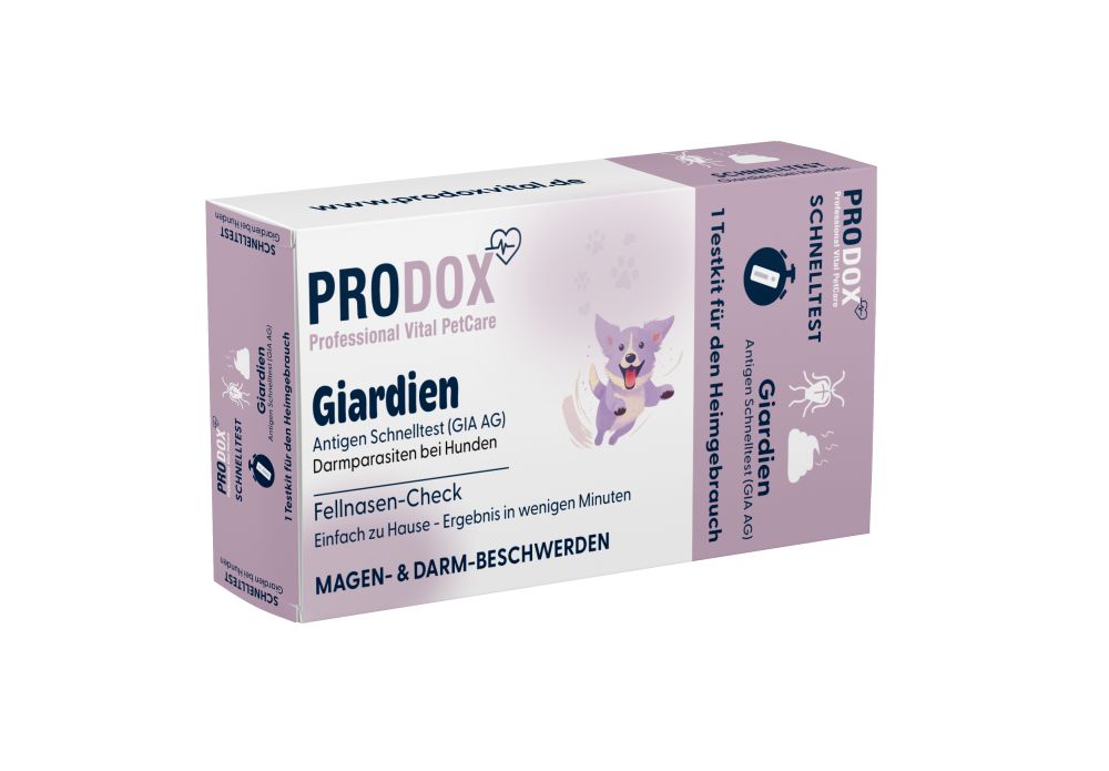 PRODOX Schnelltest-Giardien-Antigen. Karton mit Produktinformationen und Illustrationen. Enthält 1 Testkit.