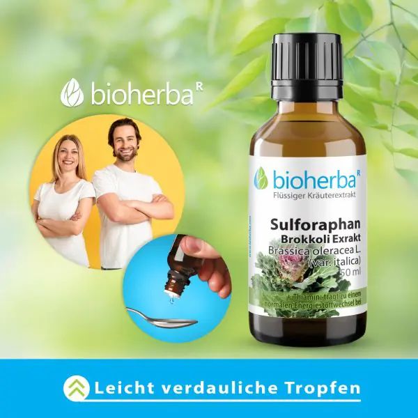 Braune Flasche mit schwarzem Deckel. Bioherba Sulforaphan Brokkoli Extrakt. Tropfen auf Löffel.