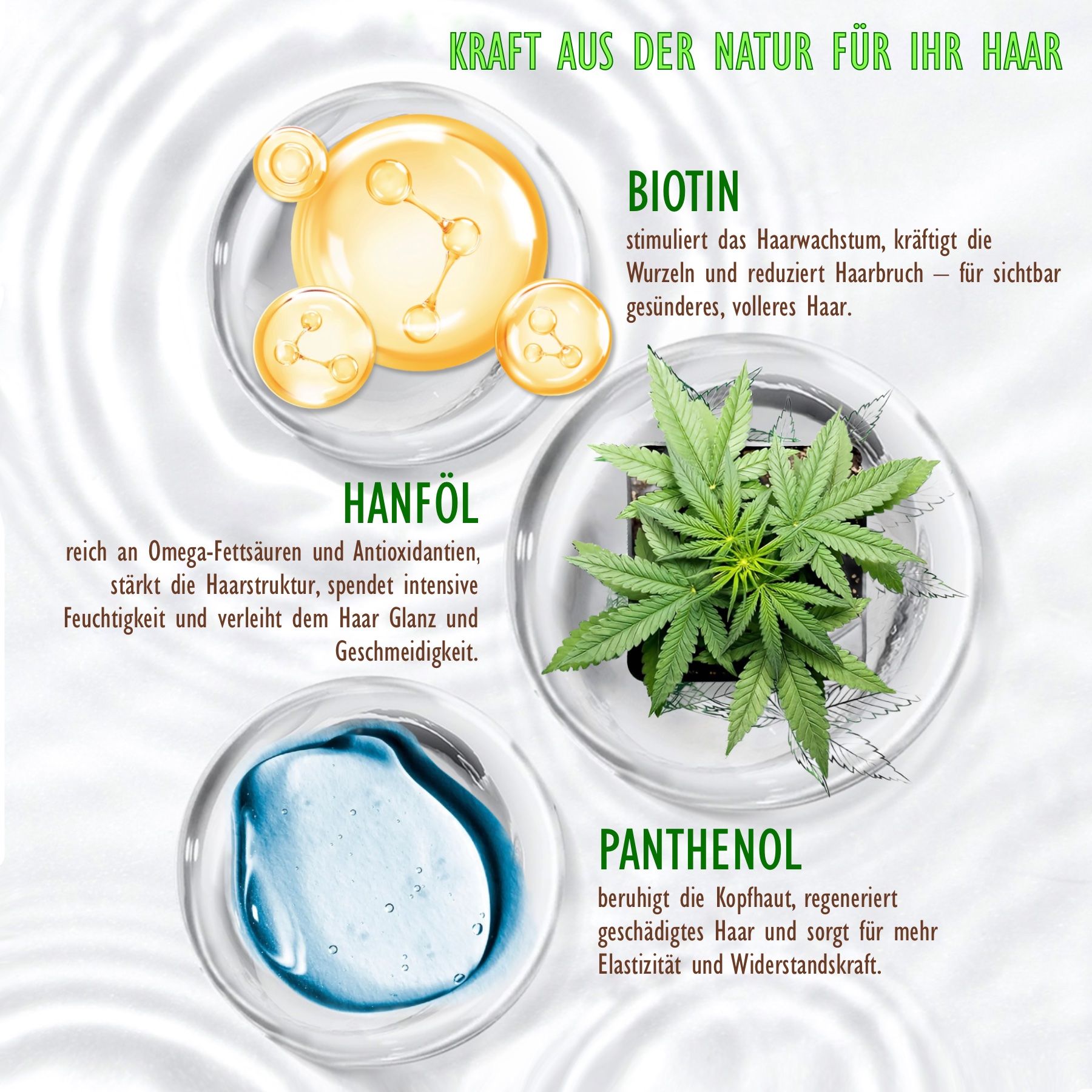 Hello Nature Haarshampoo Hanföl Cannabis Naturkosmetik für Haarpflege