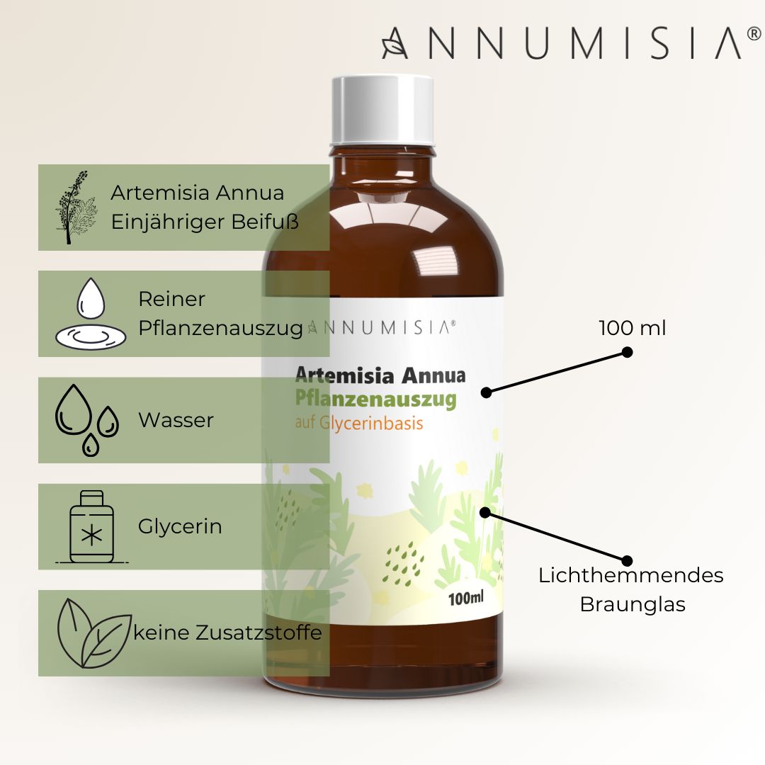 ANNUMISIA® Artemisia Annua Pflanzenauszug in einer braunen Glasflasche mit weißem Deckel. Auf dem Etikett steht "Artemisia Annua Pflanzenauszug auf Glycerinbasis" und "100 ml". Grafiken zeigen die Inhaltsstoffe: Artemisia Annua, reiner Pflanzenauszug, Wasser, Glycerin und keine Zusatzstoffe.