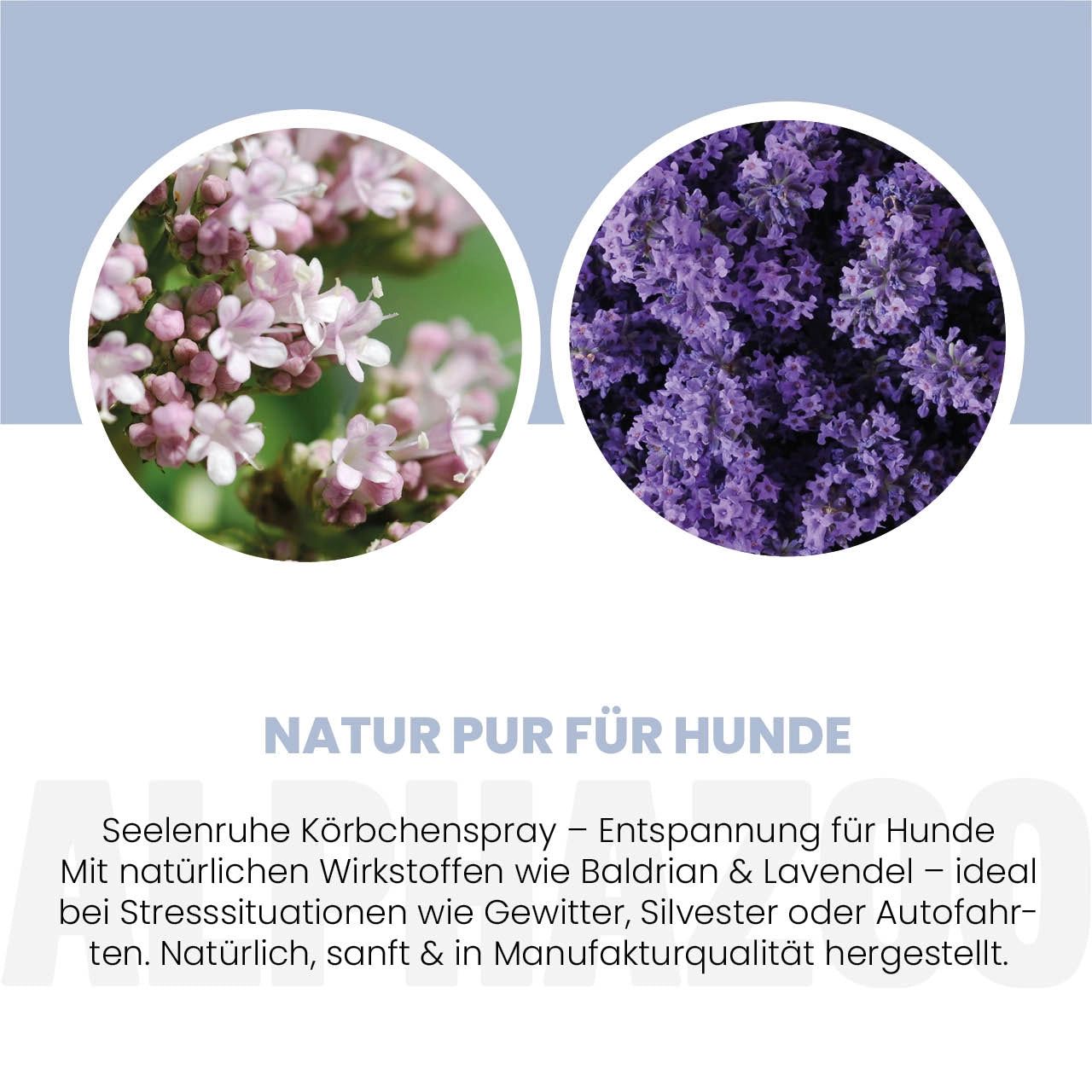 Zwei Kreise mit Lavendel und Baldrianblüten. Text: Natur pur für Hunde. Seelenruhe Körbchenspray.
