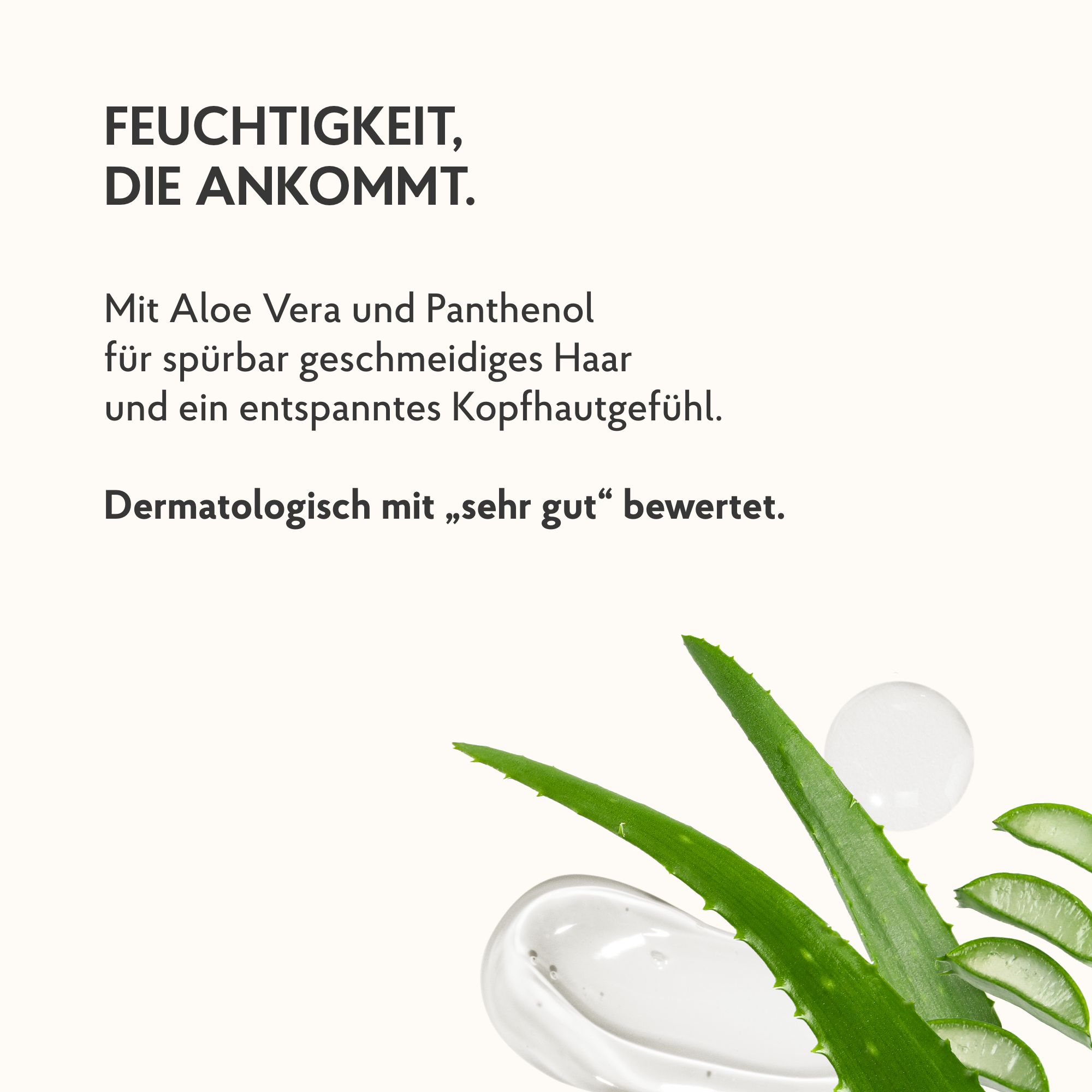 EUTERPFLEGE Care + Repair Shampoo, empfindliche Kopfhaut & strapaziertes Haar