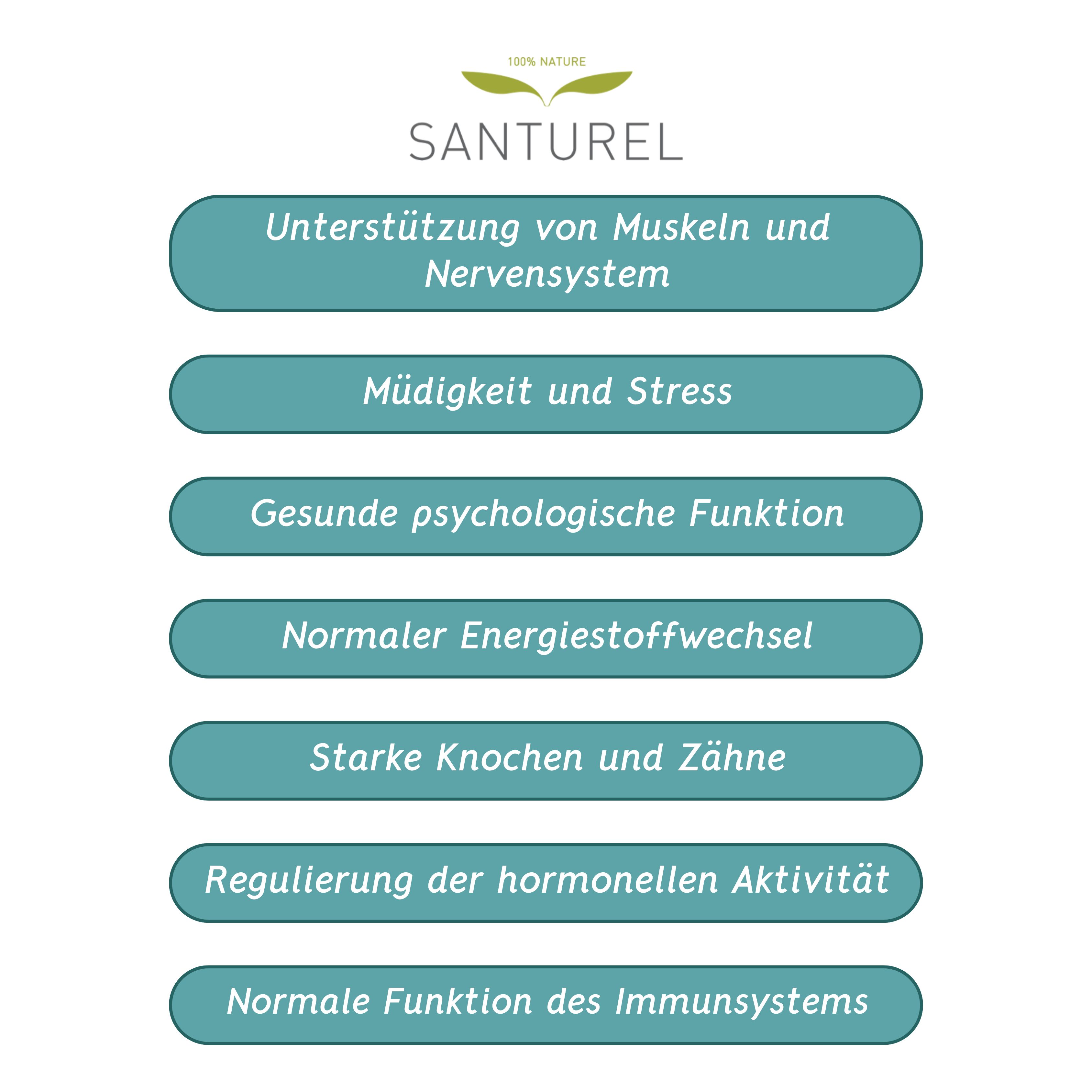 Blaugrüne Textfelder mit deutschen Beschreibungen. Themen: Muskeln, Nervensystem, Müdigkeit, Stress, psychische Funktion, Stoffwechsel, Knochen, Zähne.