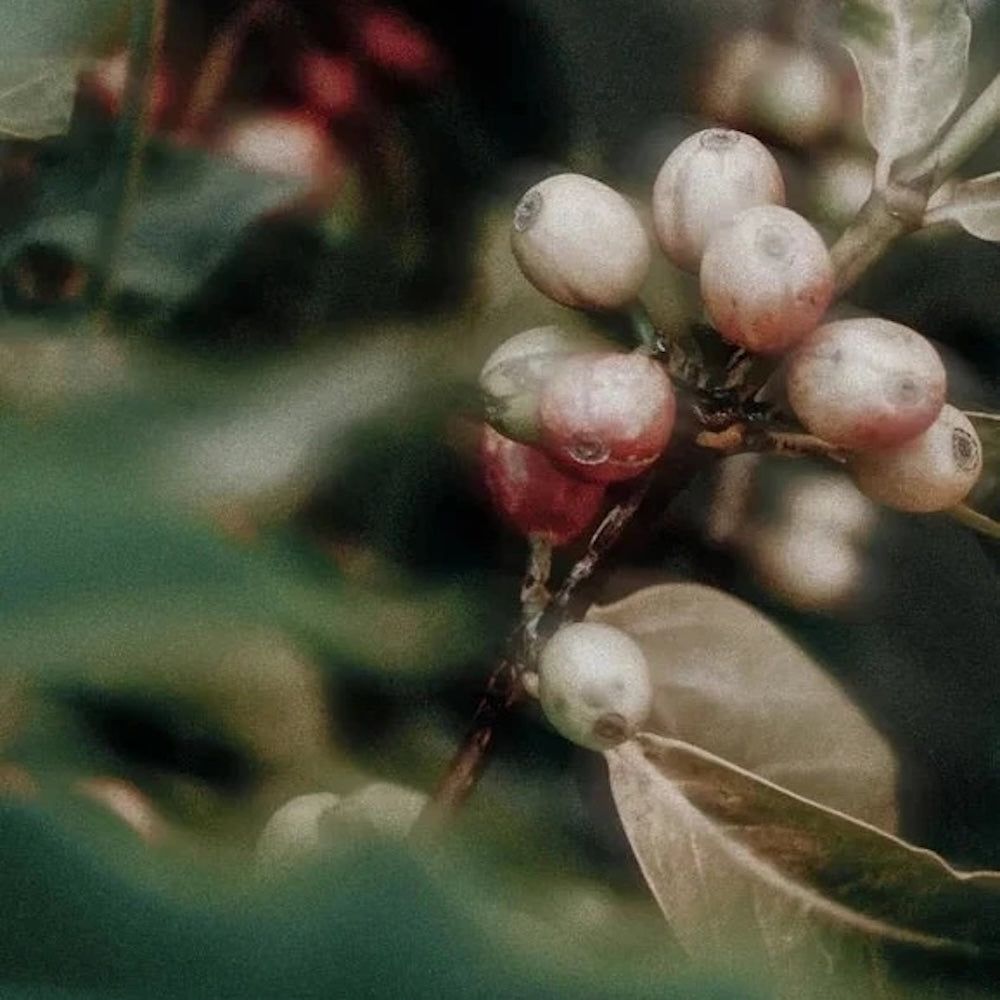 Zero Skin Belebendes Augengel mit Koffein, erfrischend hydratisierend für müde Augenpartien