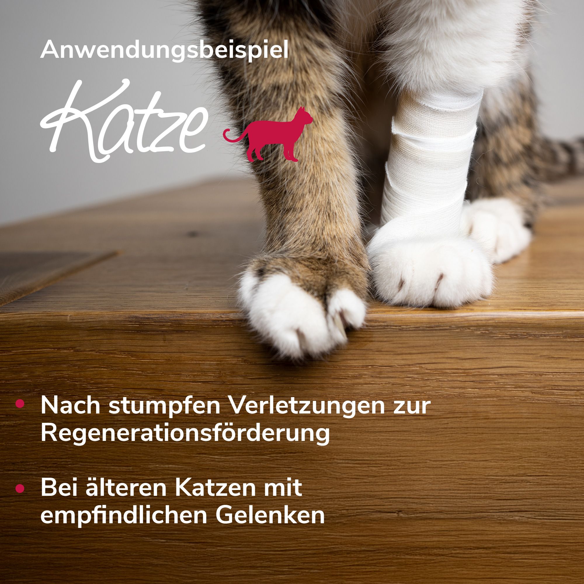 Arnikawunderwickel für Pferde, Hunde & Katzen