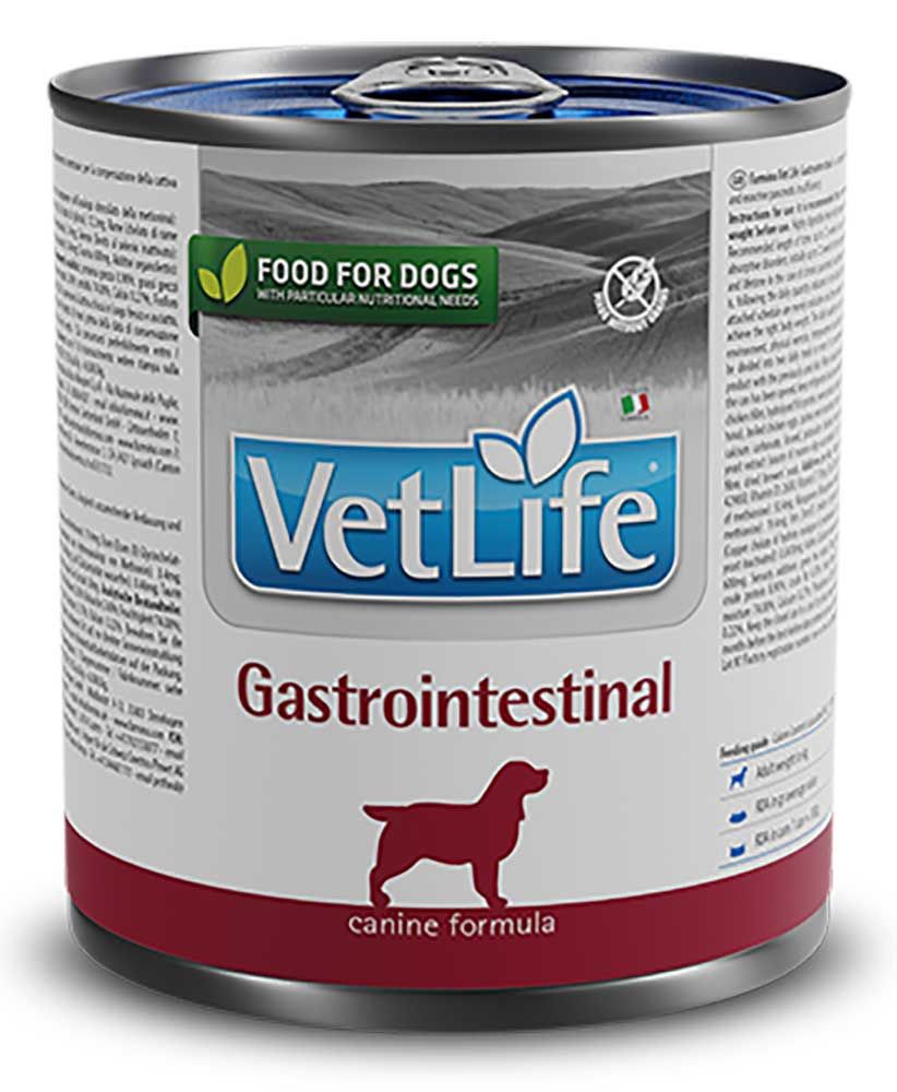 Hundefutterdose mit Etikett. "VetLife Gastrointestinal" und Logo. Roter Boden, grauer Hintergrund, grüne Blätter.