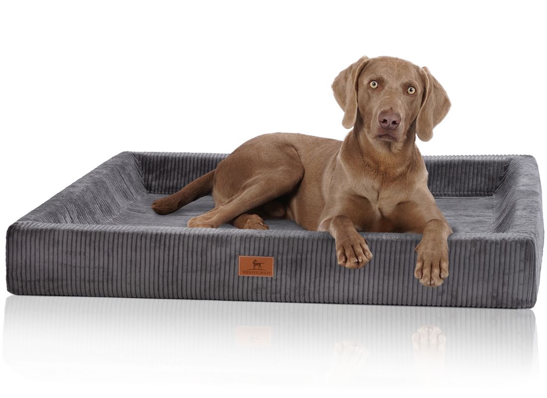 Hund liegt auf orthopädischem Hundebett, grau, Cord-Optik. Mit Logo-Patch. Auf weißem Hintergrund.