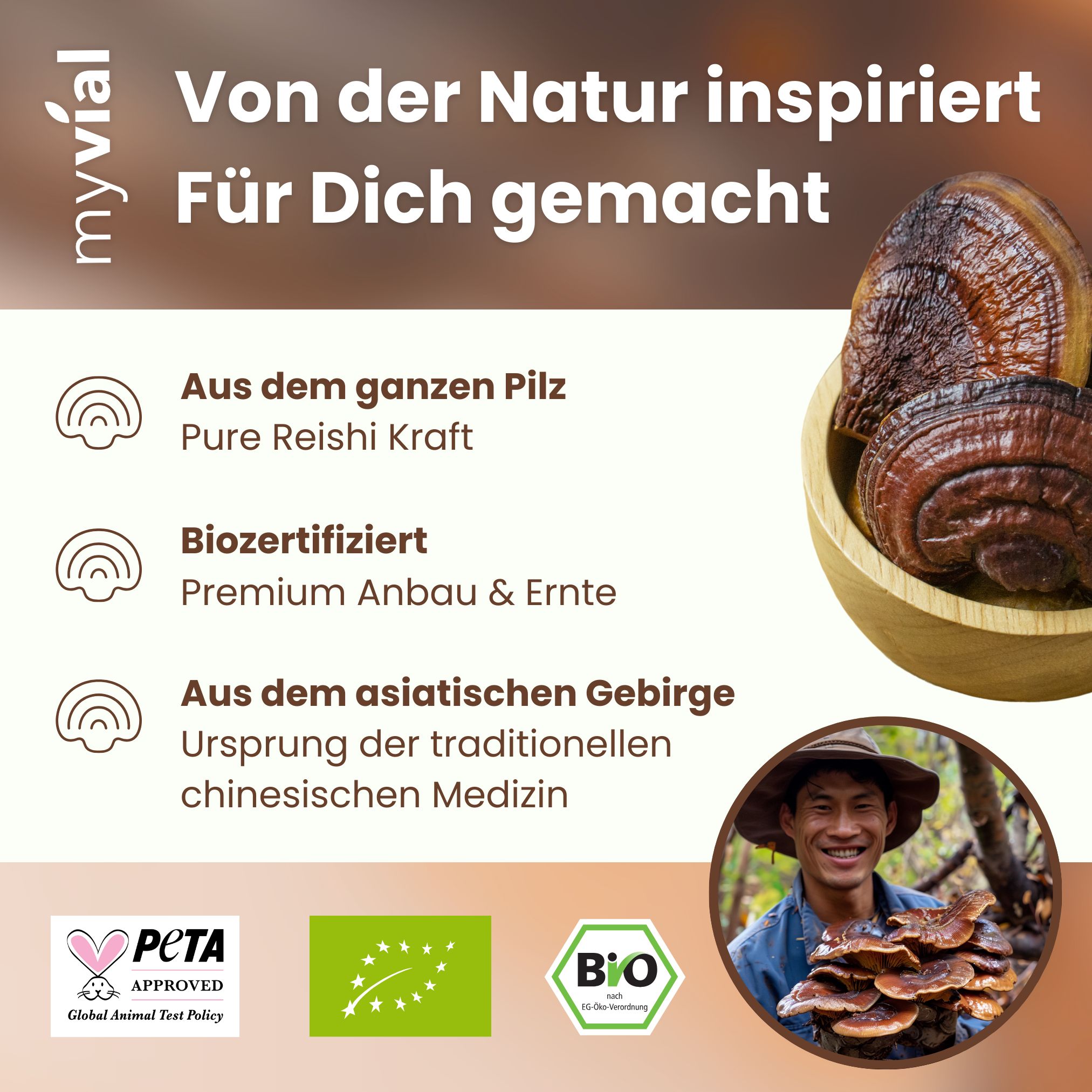 Reishi Pilze in Holzschale, PETA- und Bio-Siegel, Mann mit Pilzen.