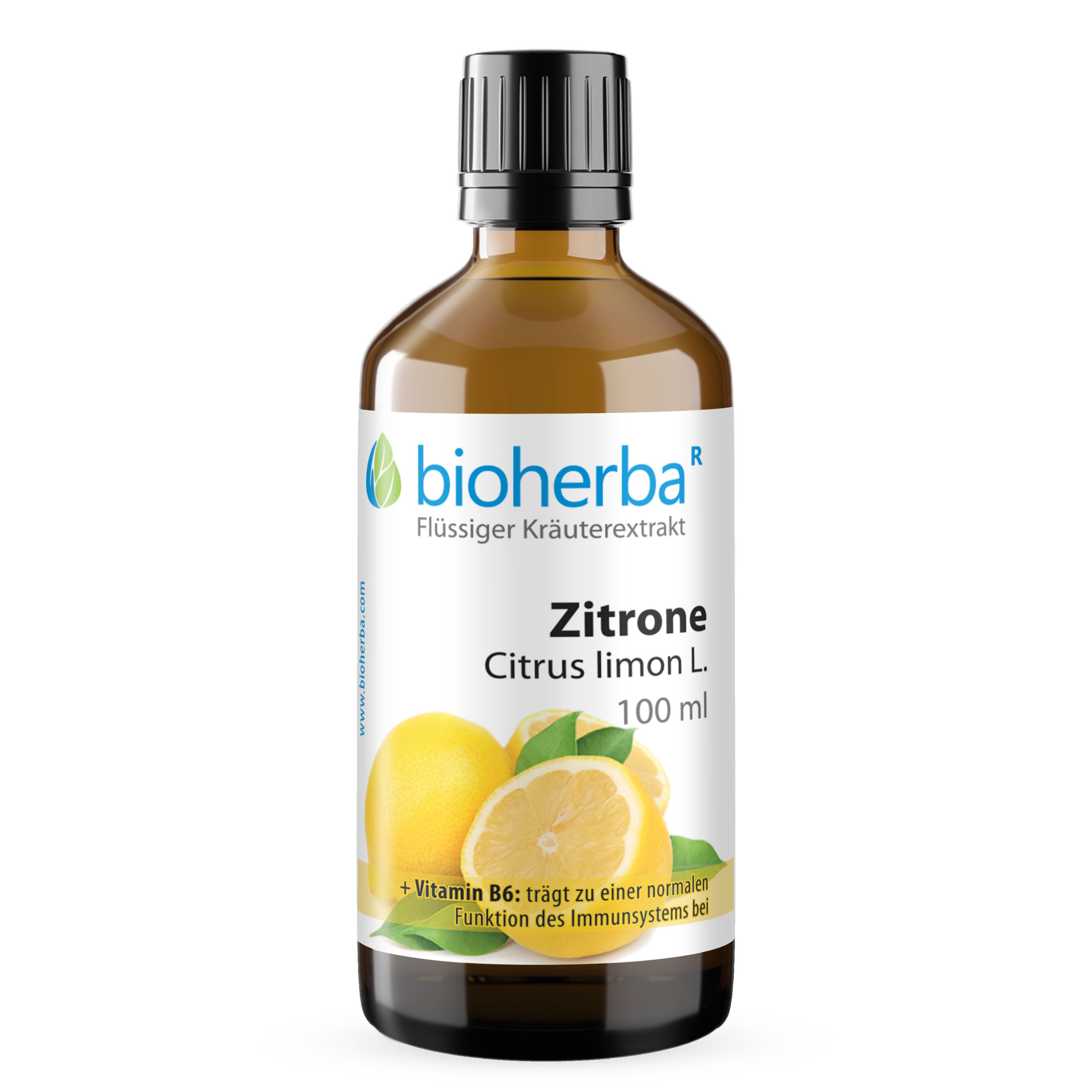 Braune Glasflasche mit schwarzem Verschluss. Bioherba Zitrone Citrus limon L. Tropfen Tinktur. Abbildung von Zitronen.