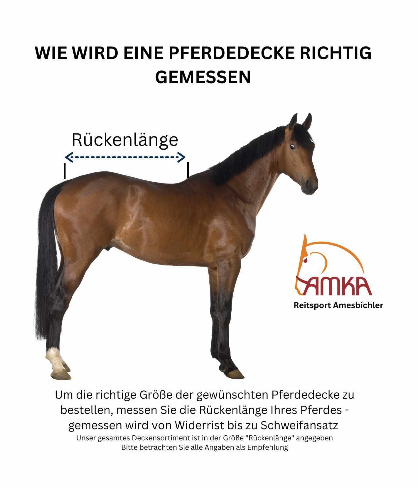 Pferd mit eingezeichneter Rückenlänge. Text: Wie wird eine Pferdedecke richtig gemessen. Logo: AMKA Reitsport Amesbichler.