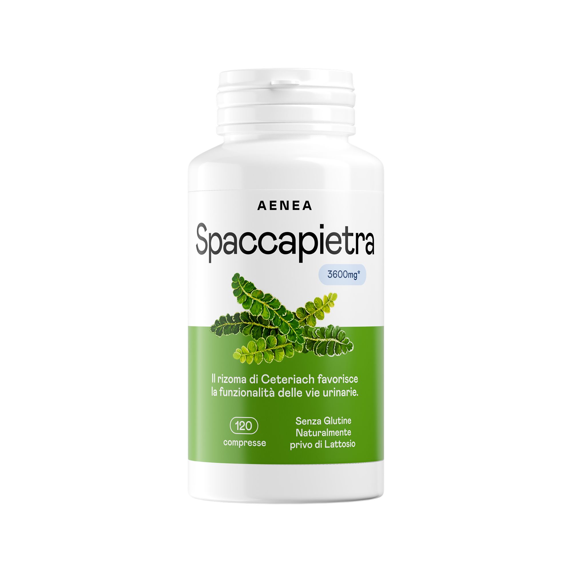 Aenea, Spaccapietra