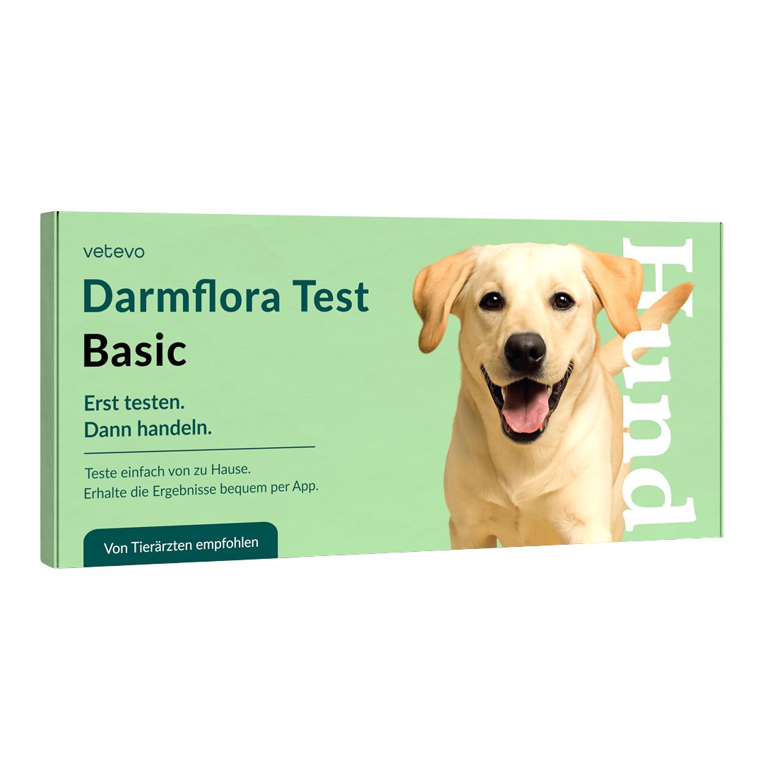 Produktverpackung: Darmflora Test Basic Hund. Text: Erst testen, dann handeln. Von Tierärzten empfohlen.