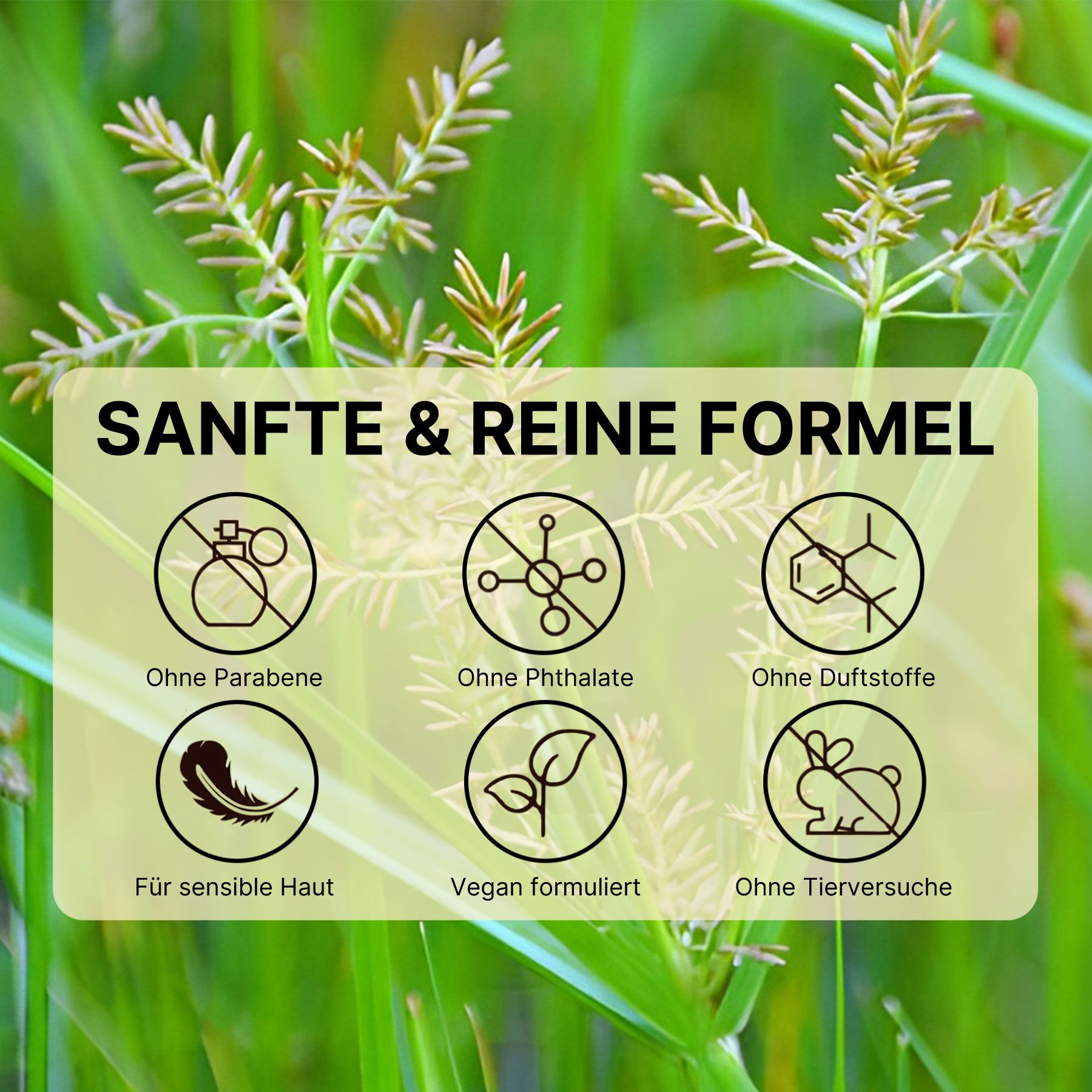 Grafik mit Symbolen: Ohne Parabene, Phthalate, Duftstoffe, für sensible Haut, vegan, ohne Tierversuche. Hintergrund: Pflanzen.
