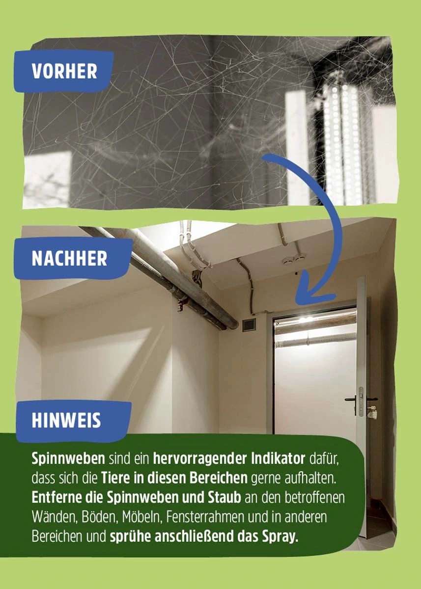 Anti Spinnenspray | Spinnen-Ex - Effektive Abwehr