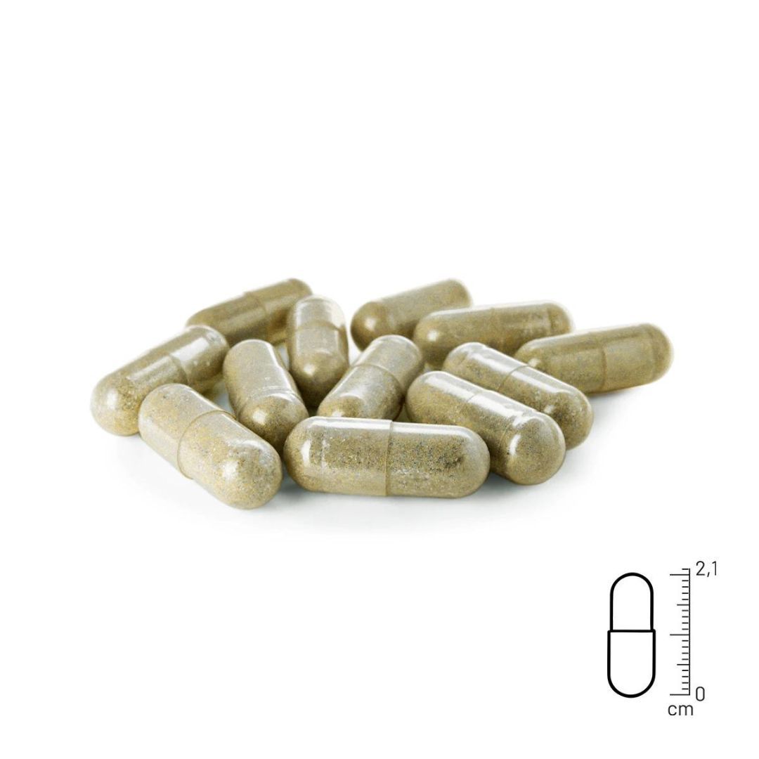 Wormwood Mix Kapseln - ReaVET 1 St - Shop Apotheke