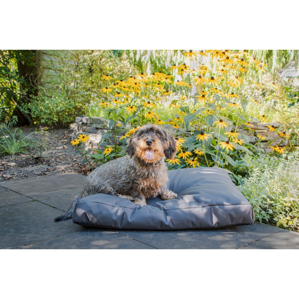 Dackel sitzt auf einem grauen Hundebett. Anthrazitfarbenes Kissen auf Steinboden.