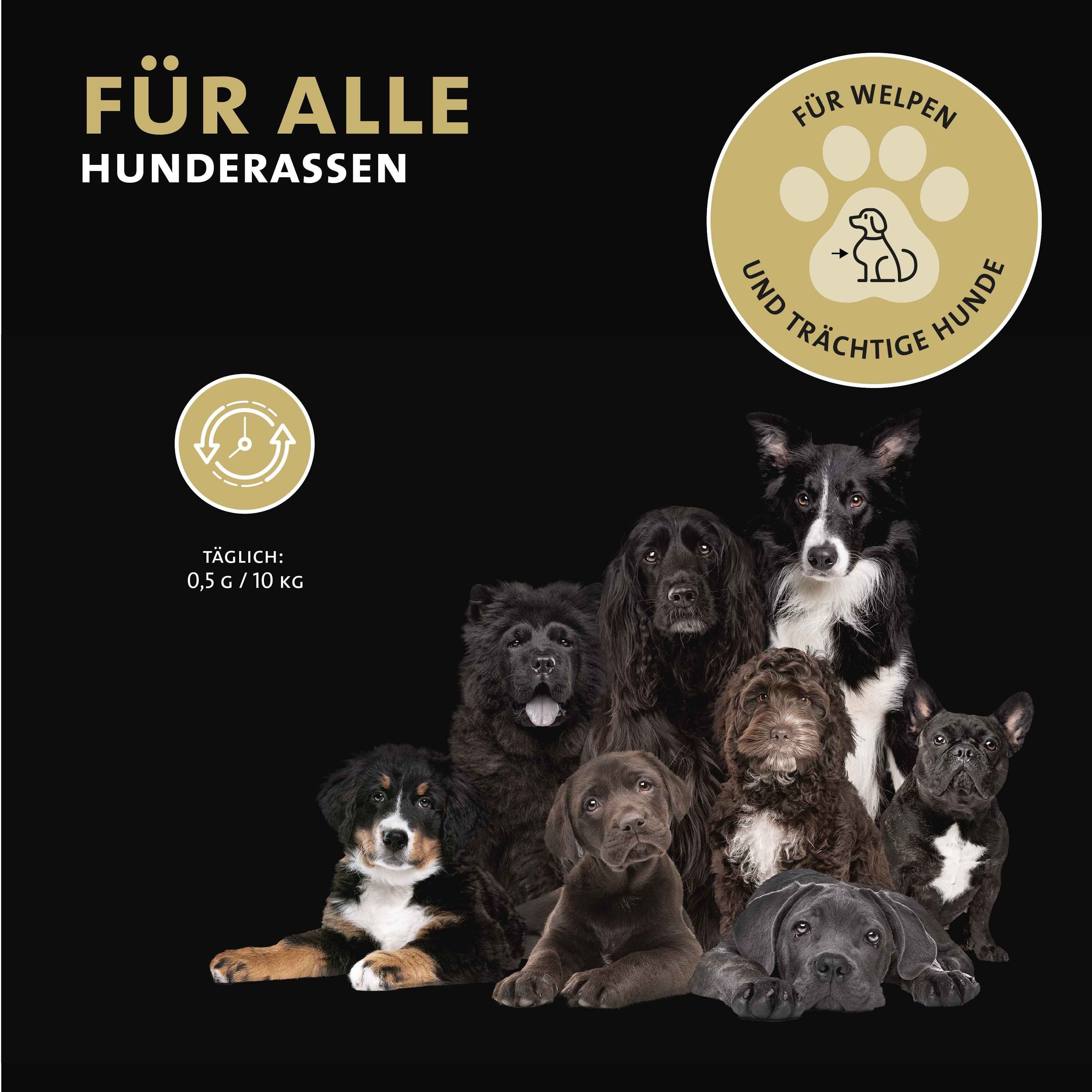 Peticare Natürliches Zahnpflege Pulver für Hunde