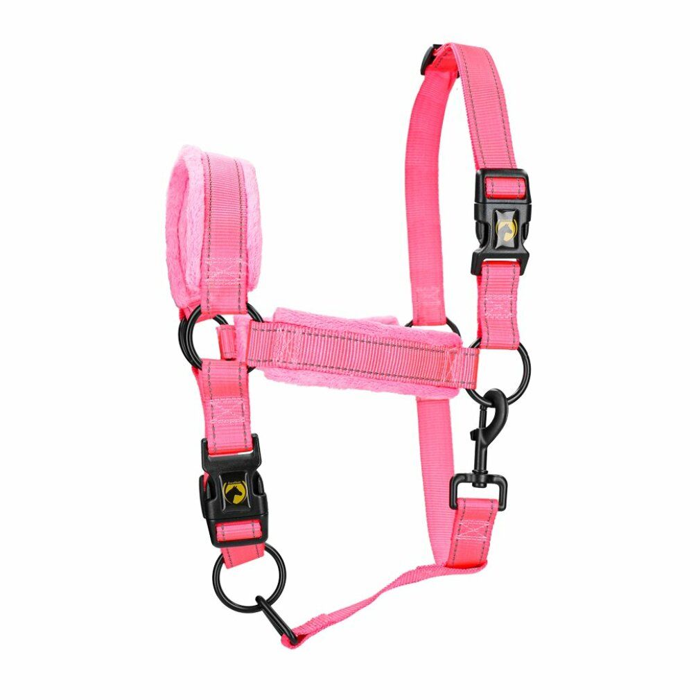 Eccellente Cavallo Superiore Cavezza l Cob Rosa