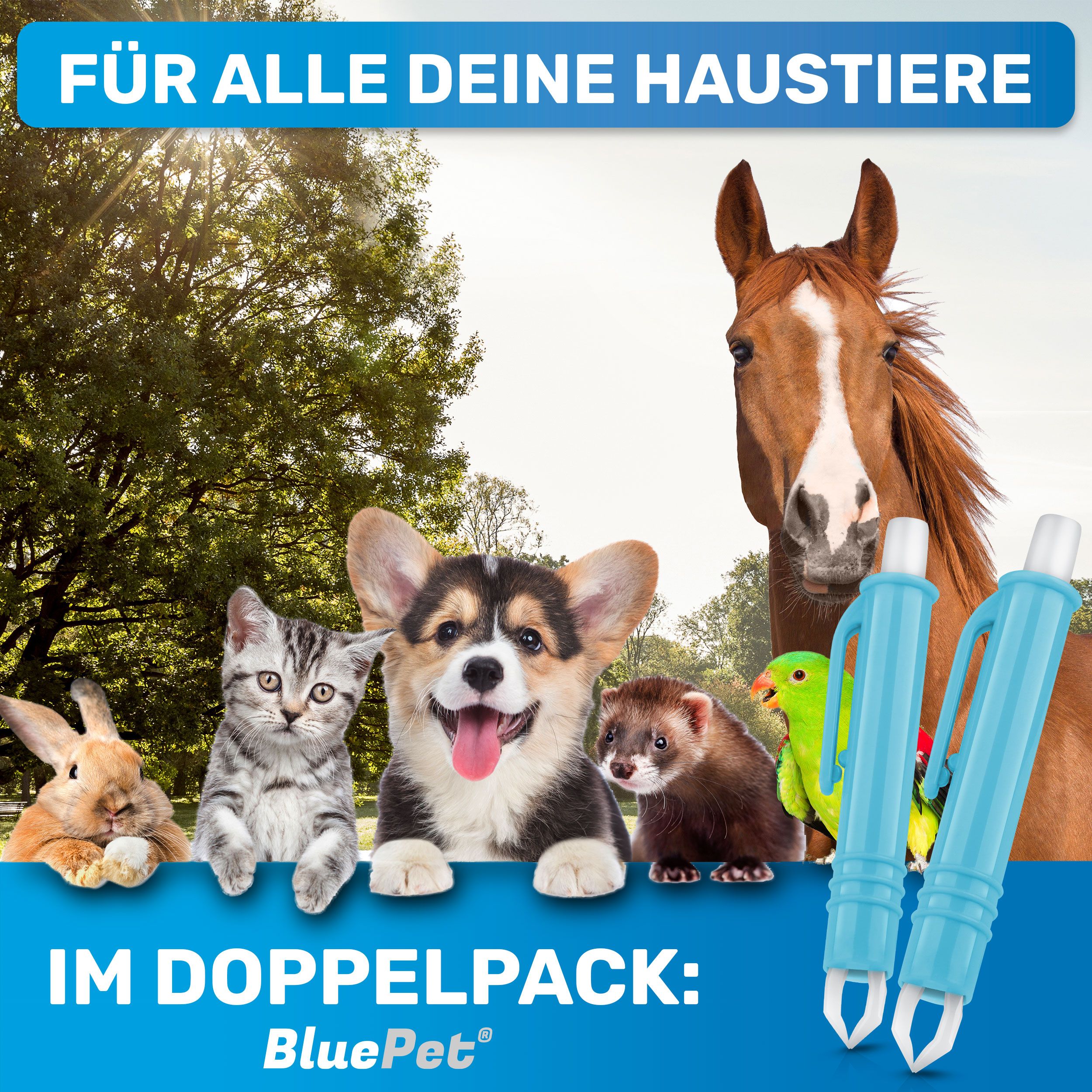 Verschiedene Haustiere und ein Pferd. 2 blaue Zeckenpinzetten. Text: Im Doppelpack: BluePet.