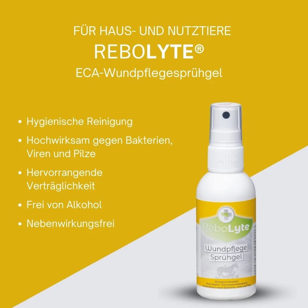 ReboLyte® ECA Sprühgel: Hygienische Reinigung, hochwirksam, alkoholfrei, für Haus- und Nutztiere.