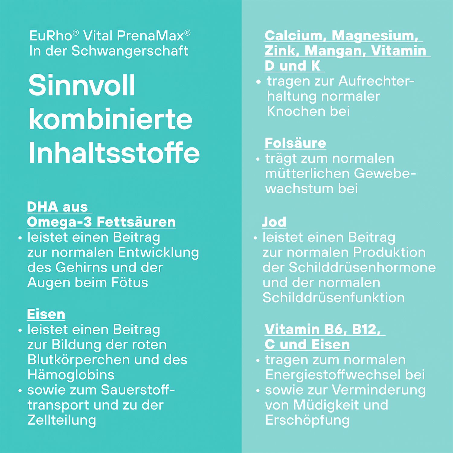EuRho Vital PrenaMax Schwangerschaft & Kinderwunsch
