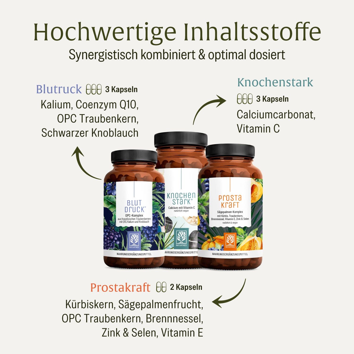 Drei Pillendosen mit Etiketten: Blutdruck, Knochenstark und Prostakraft. Text: Hochwertige Inhaltsstoffe. Pfeile zeigen auf die Produkte.