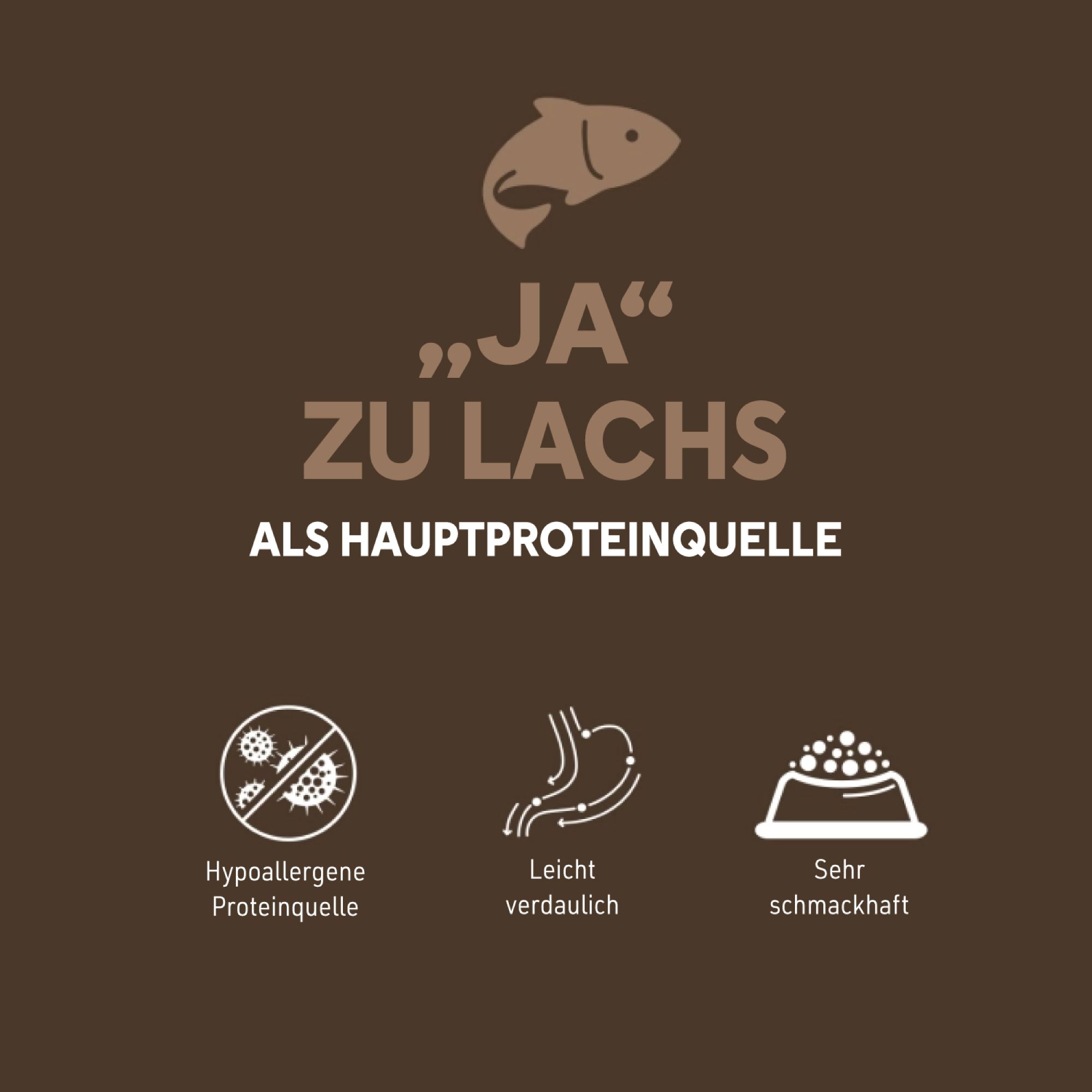 Brauner Hintergrund mit Text: Ja zu Lachs als Hauptproteinquelle. Icons: hypoallergen, leicht verdaulich, schmackhaft.