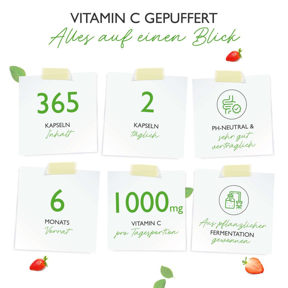Infografik mit 6 Notizen. 365 Kapseln, 2 Kapseln täglich, pH-neutral, 6 Monate Vorrat, 1000mg Vitamin C, aus pflanzlicher Fermentation.