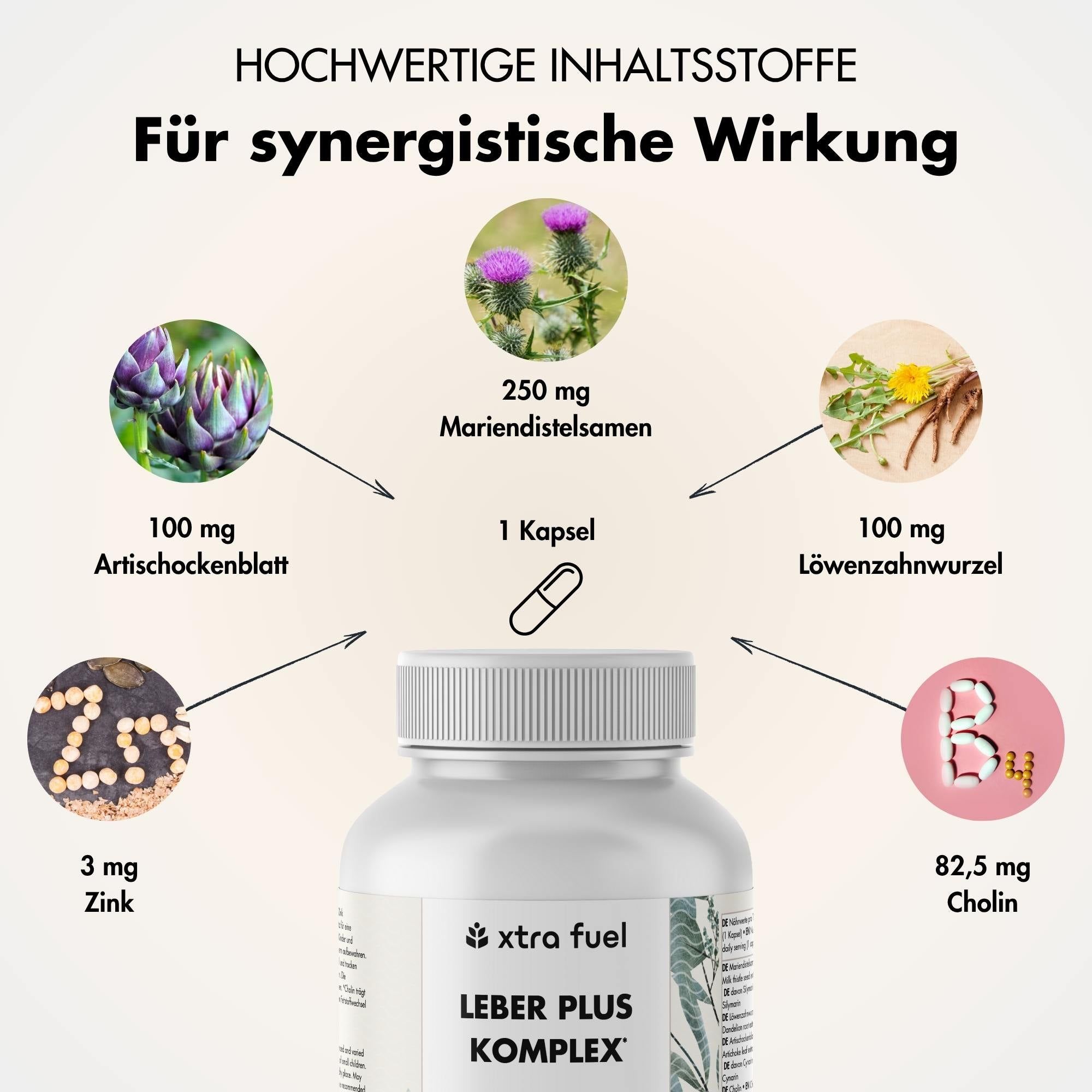 Grafik mit Zutaten: Artischocke, Mariendistel, Löwenzahn, Zink, Cholin. Flasche mit XTRA FUEL Leber Plus Komplex. 1 Kapsel.