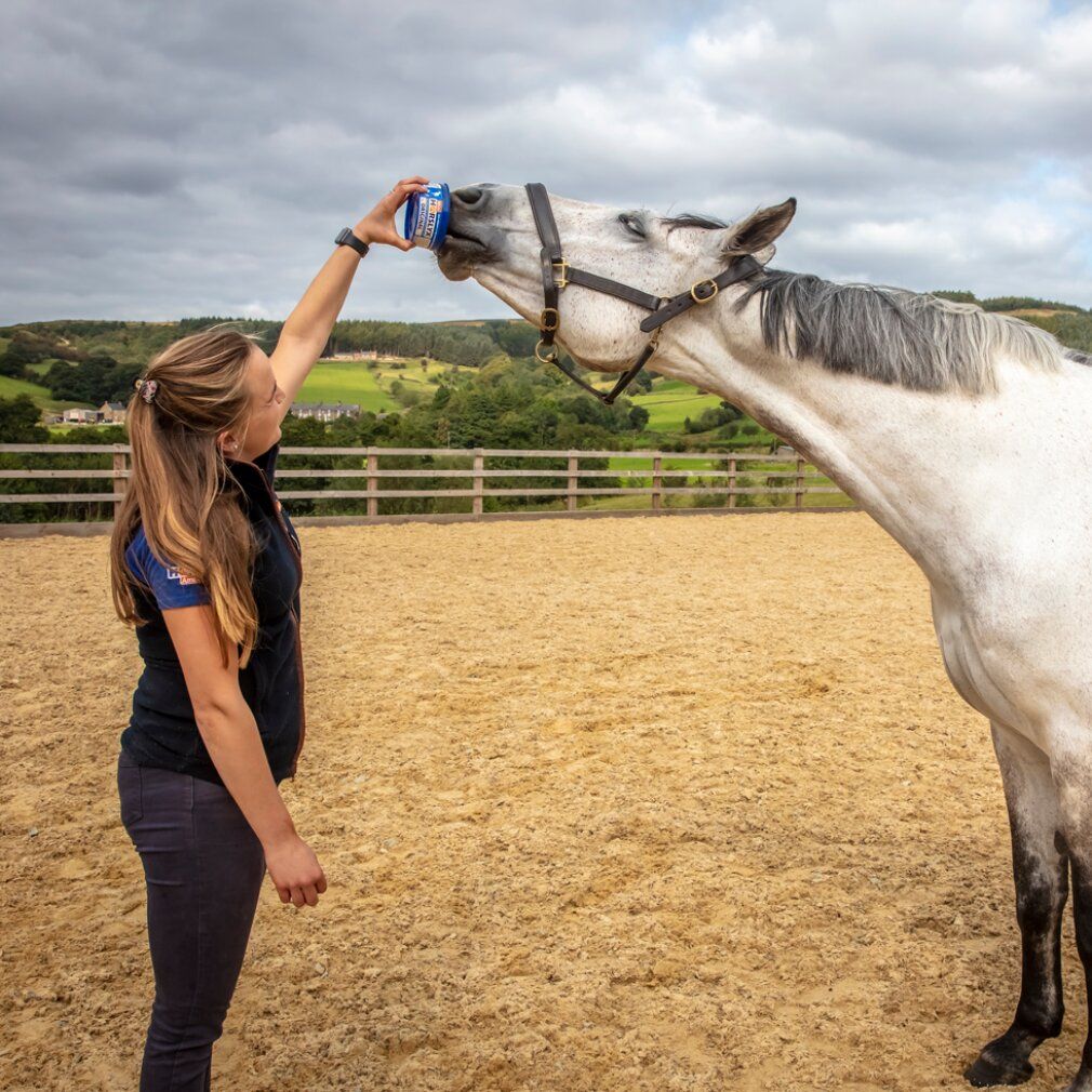 Frau hält blaues Produkt vor Pferd. Pferd frisst. Hintergrund: Reitplatz, grüne Hügel, bewölkter Himmel.