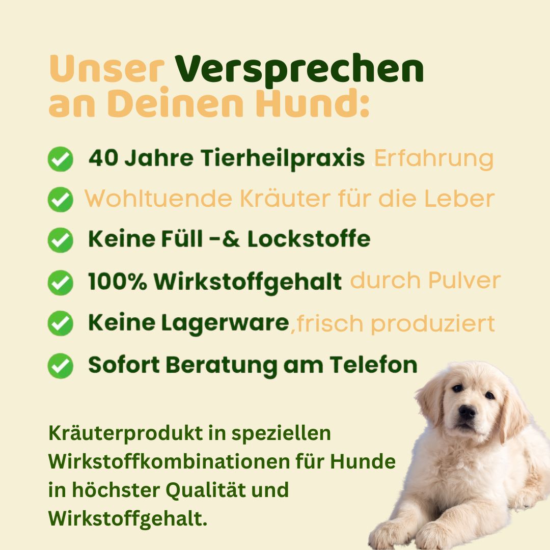 Text mit grünen Häkchen: 40 Jahre Tierheilpraxis, wohltuende Kräuter, keine Füllstoffe, 100% Wirkstoffgehalt, keine Lagerware, Beratung.