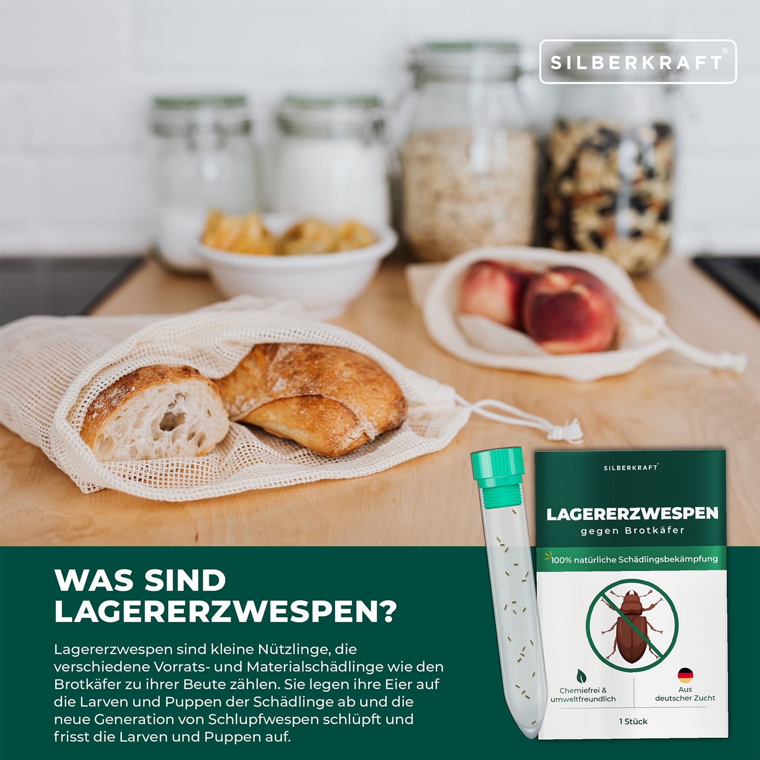 SILBERKRAFT Lagererzwespen gegen Brotkäfer