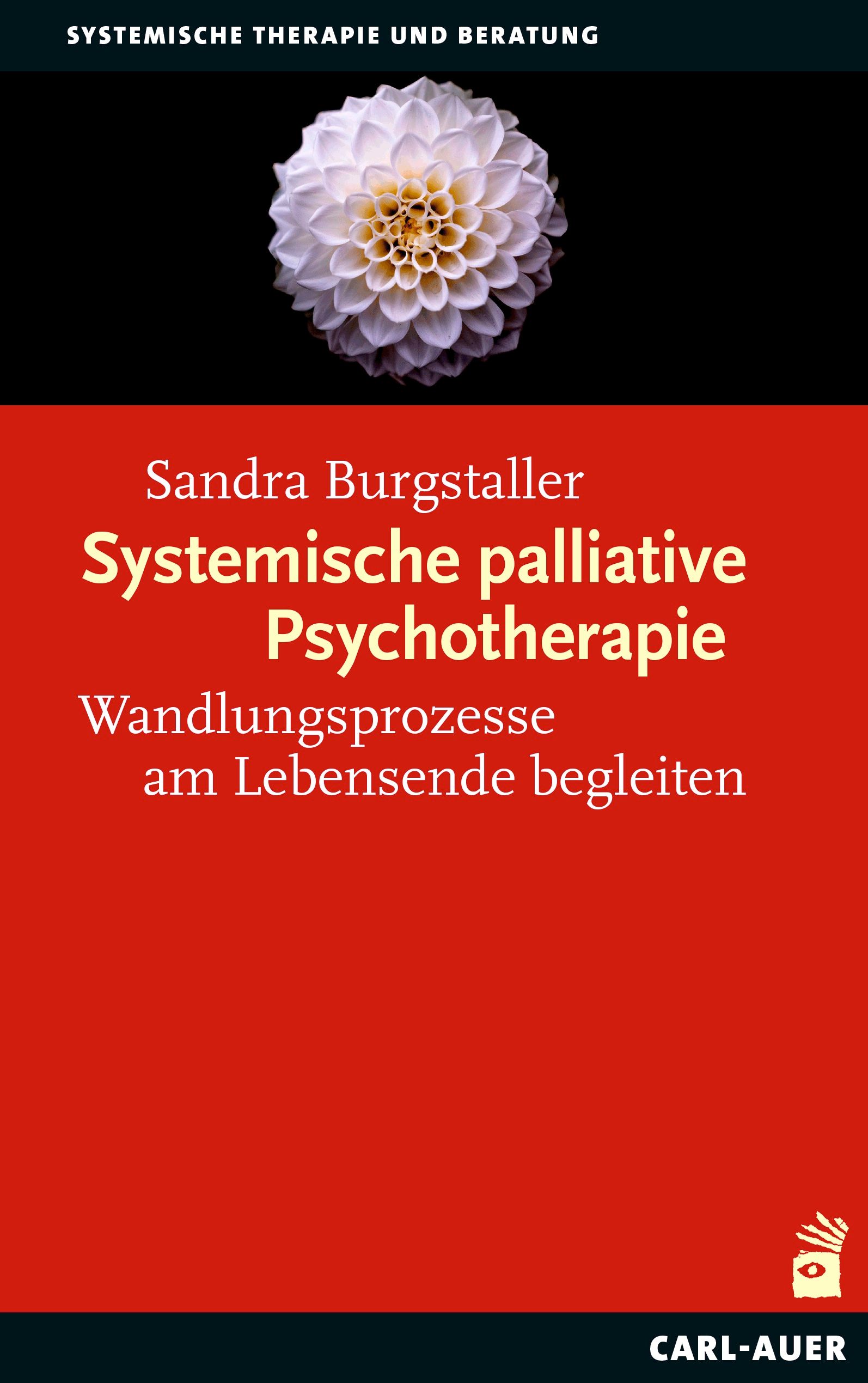 Systemische palliative Psychotherapie