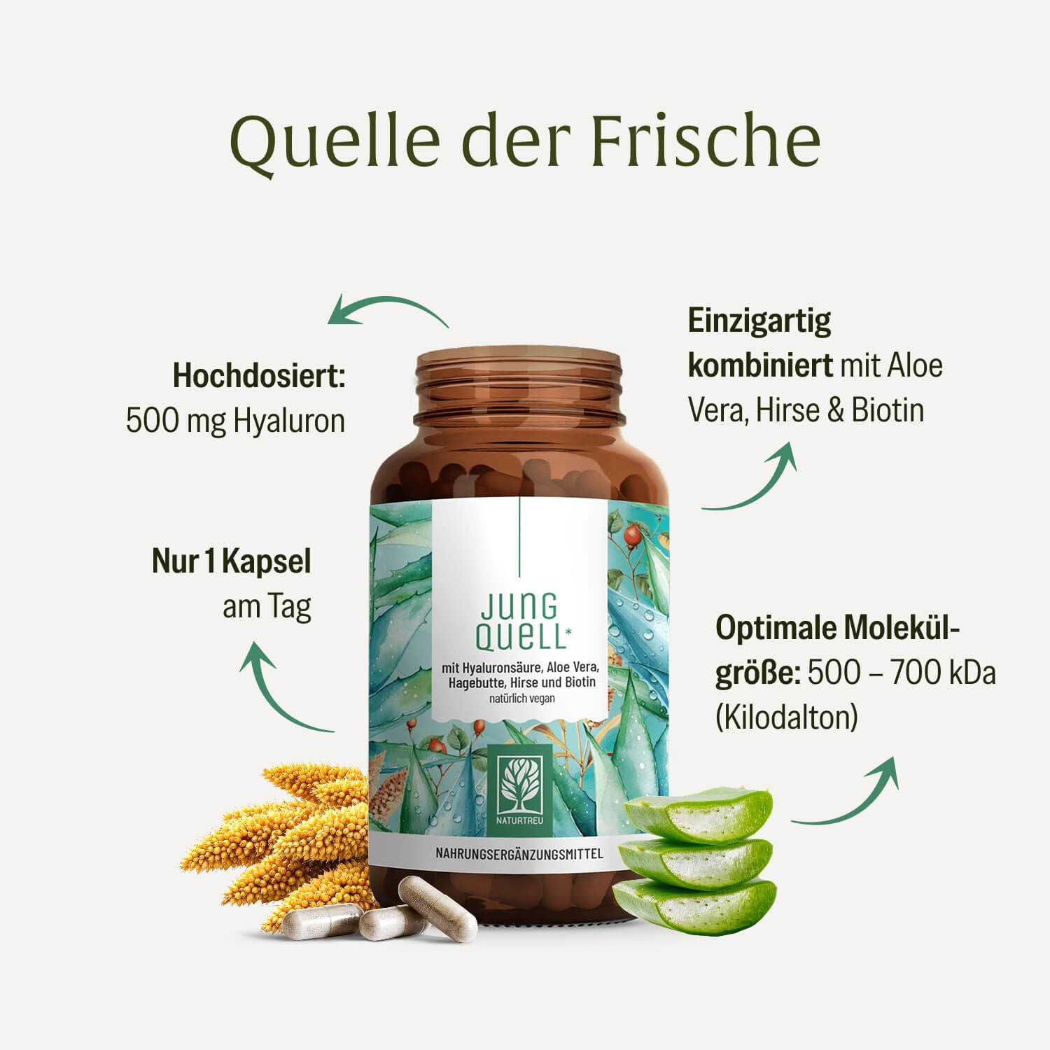 Flasche Jung Quell Hyaluron Kapseln mit Aloe Vera, Hirse und Biotin.