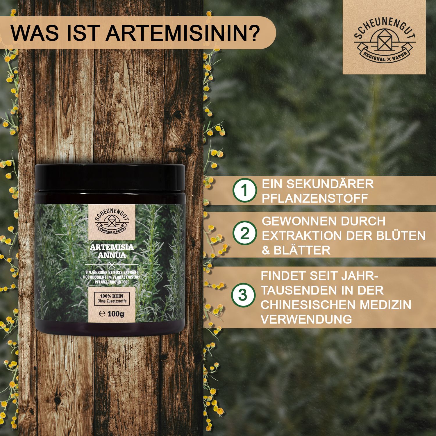 Scheunengut® Artemisia Annua 30:1 Extrakt | einjähriger Beifuß mit 11% Artemisinin