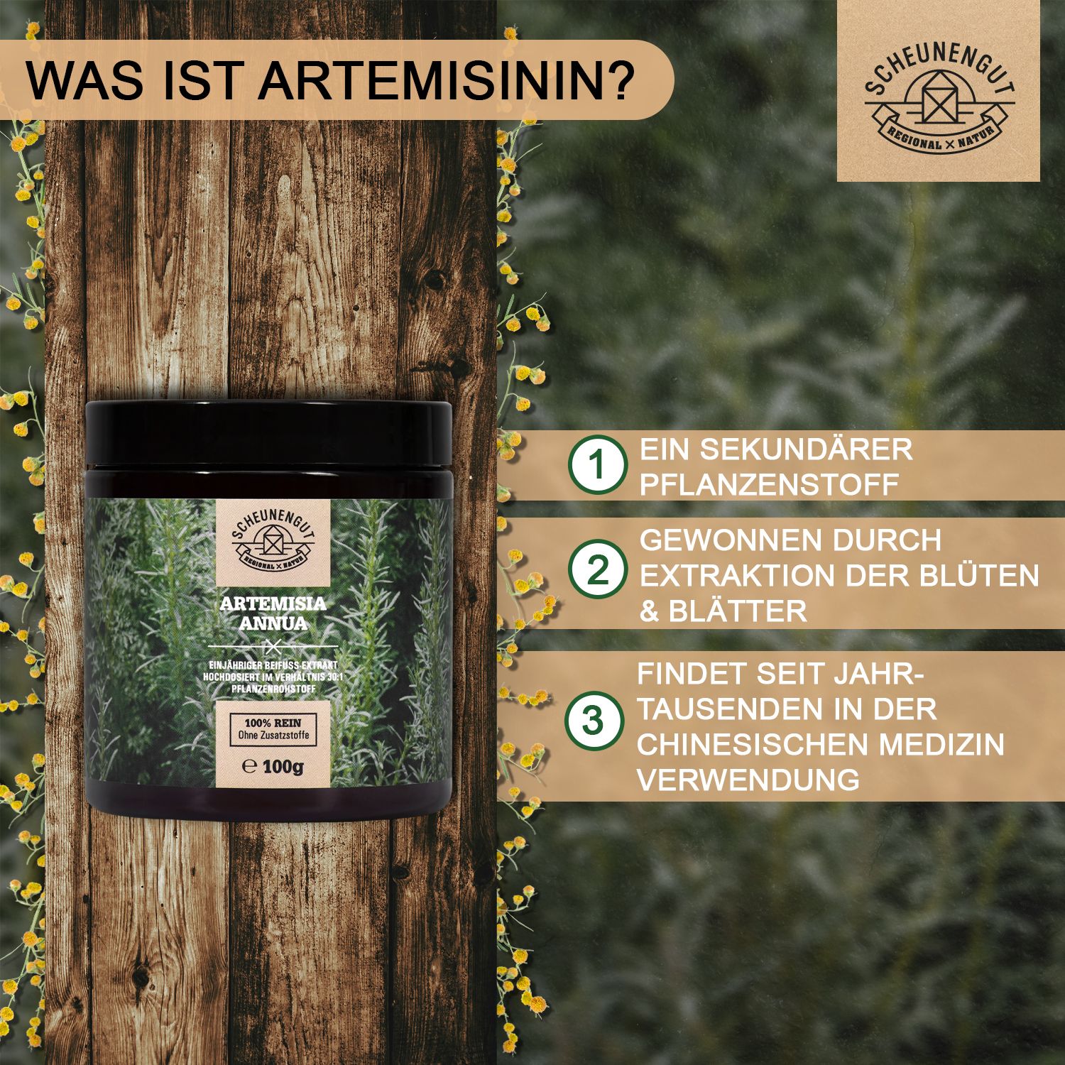 Scheunengut® Artemisia Annua 30:1 Extrakt