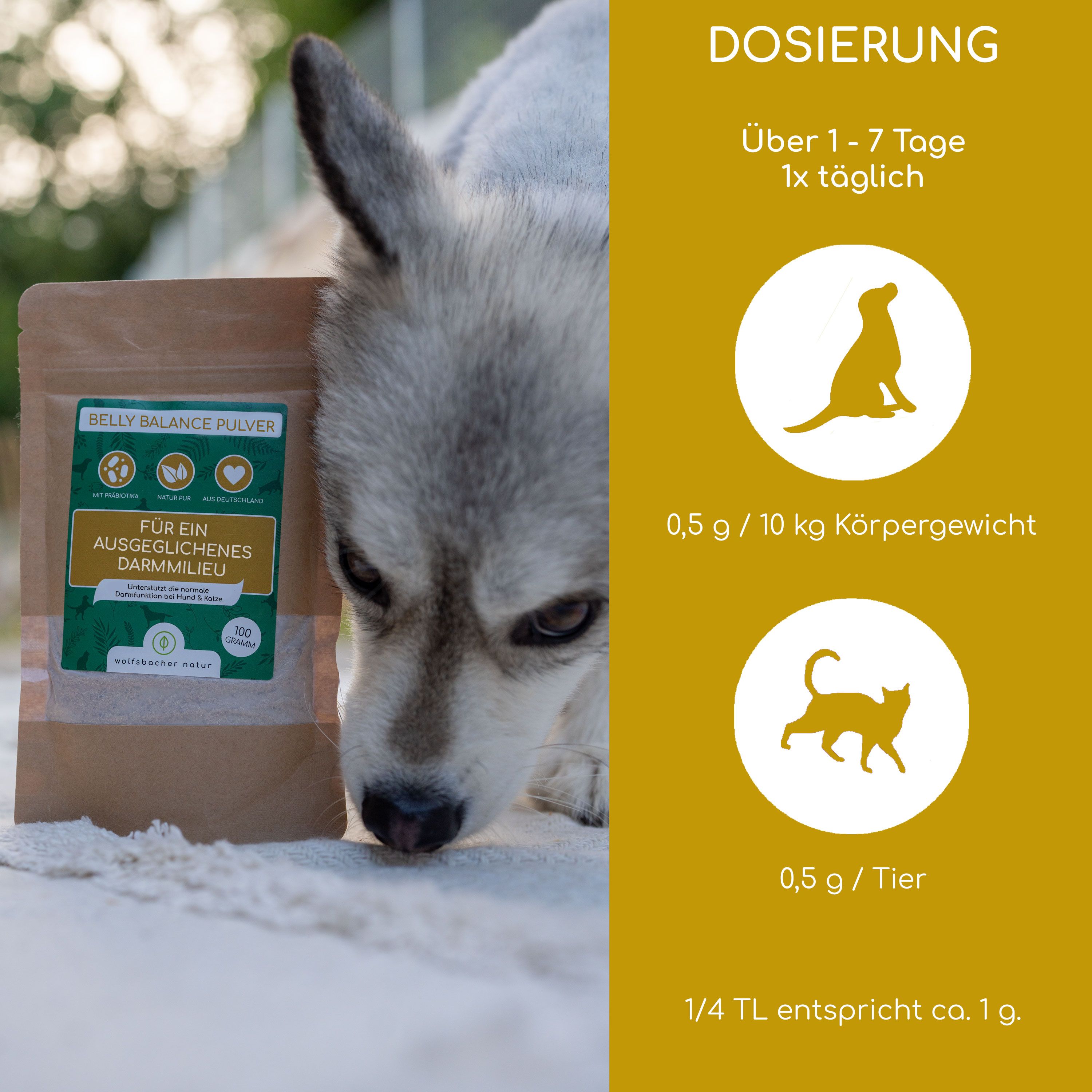 Produktbeutel mit grünem Etikett. Text: BELLY BALANCE PULVER, Für ein ausgeglichenes Darmmilieu. Dosierungsangaben für Hunde und Katzen.