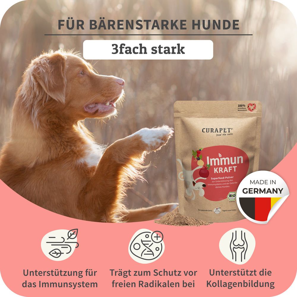 Hund neben Beutel "Immun Kraft"-Pulver. Marke CURAPET. Made in Germany. Text: 3fach stark. Unterstützt Immunsystem, Radikalschutz, Kollagenbildung.