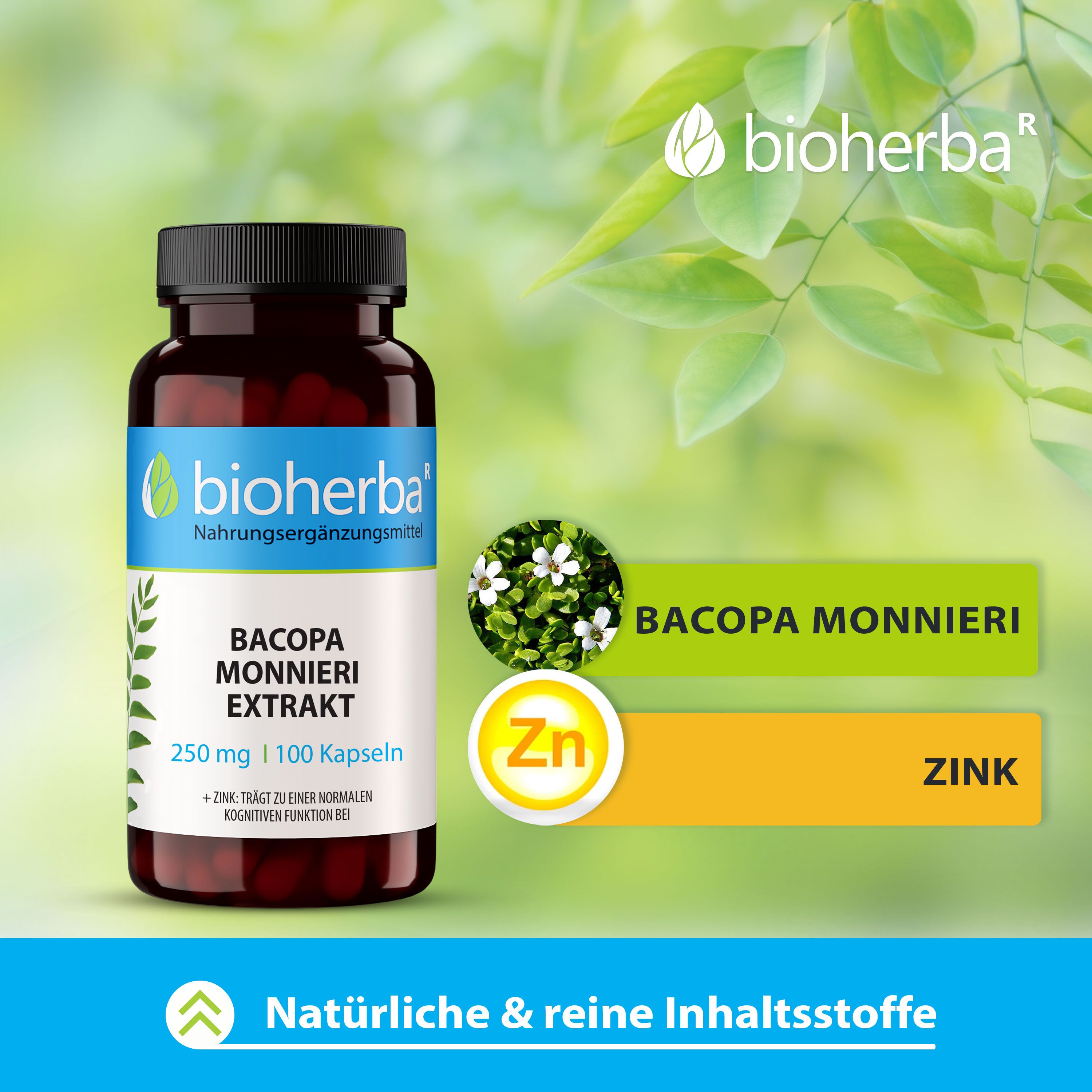 Bioherba Bacopa Monnieri Extrakt Kapseln