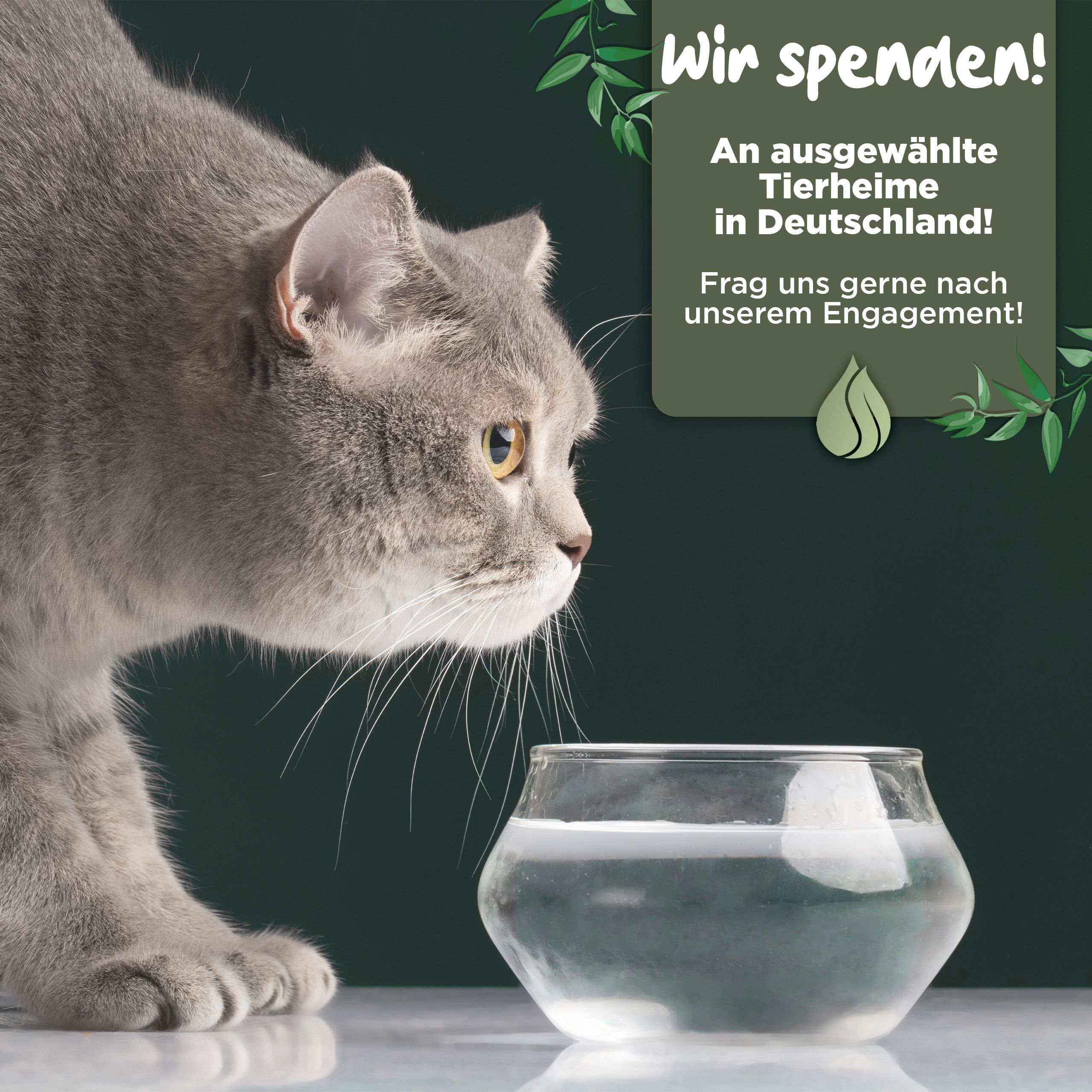 20% CBD Öl für Hunde & Katzen - Deutsche Qualität - CBD Öl Hund - 10ml - 250 CBD Tropfen - BLATTWERK