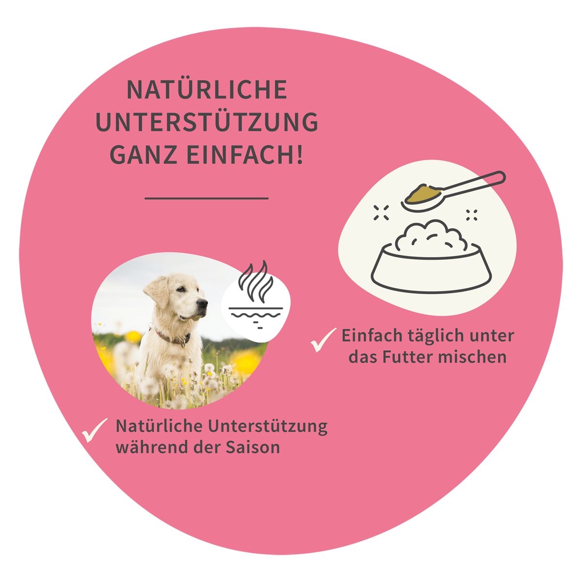 Kreis mit Hund, Futter und Text. Natürliche Unterstützung während der Saison. Einfach unter das Futter mischen.