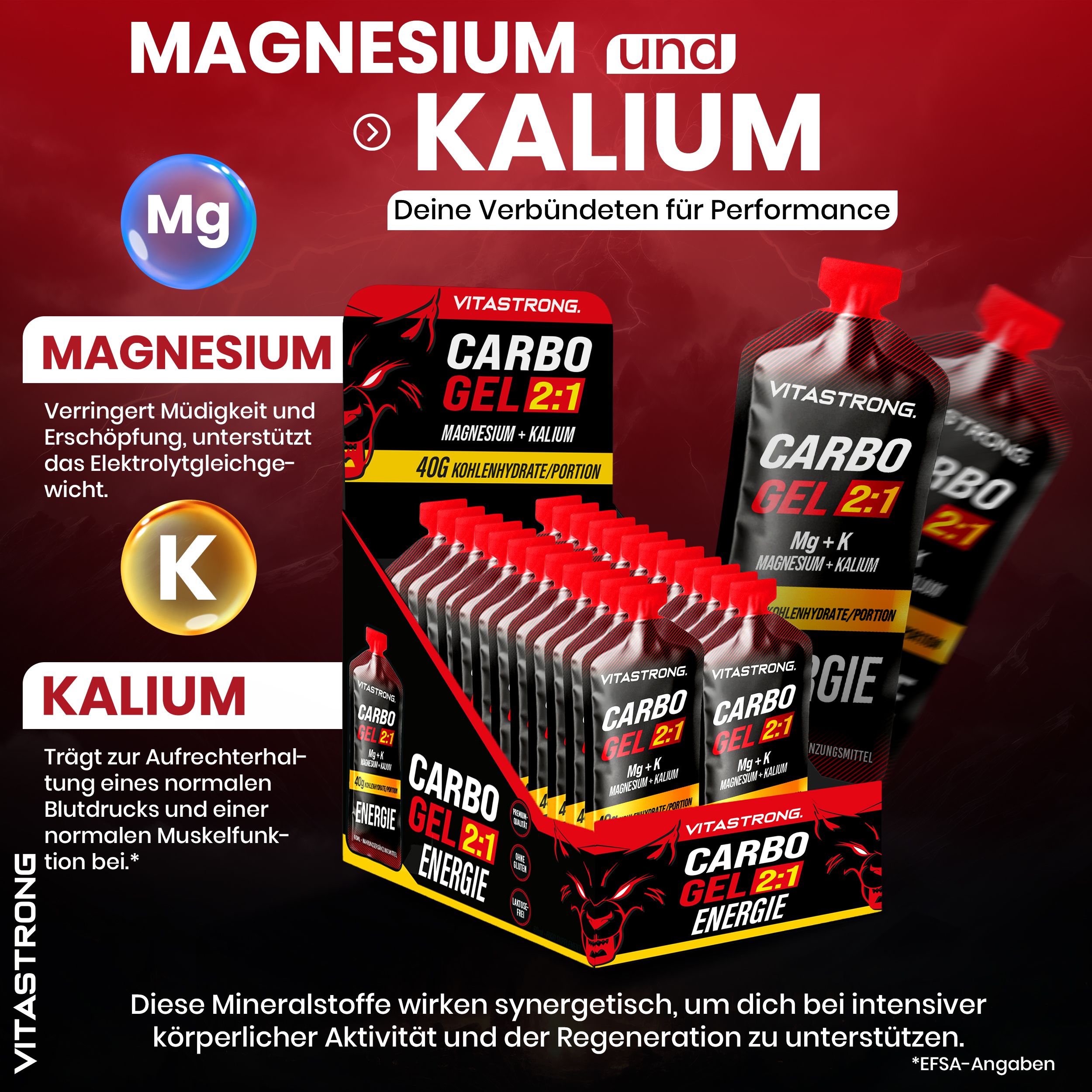 Vitastrong CARBO GEL 2:1. Displaybox mit Einzelportionen. Text: Magnesium und Kalium. 40g Kohlenhydrate. Mineralstoffe für Leistung.