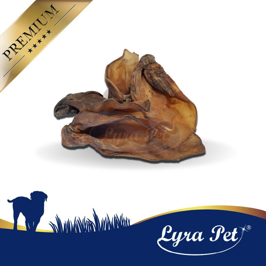 Rinderohr auf weißem Hintergrund. Marke Lyra Pet. Goldener Premium-Stempel. Hundesilhouette unten links.
