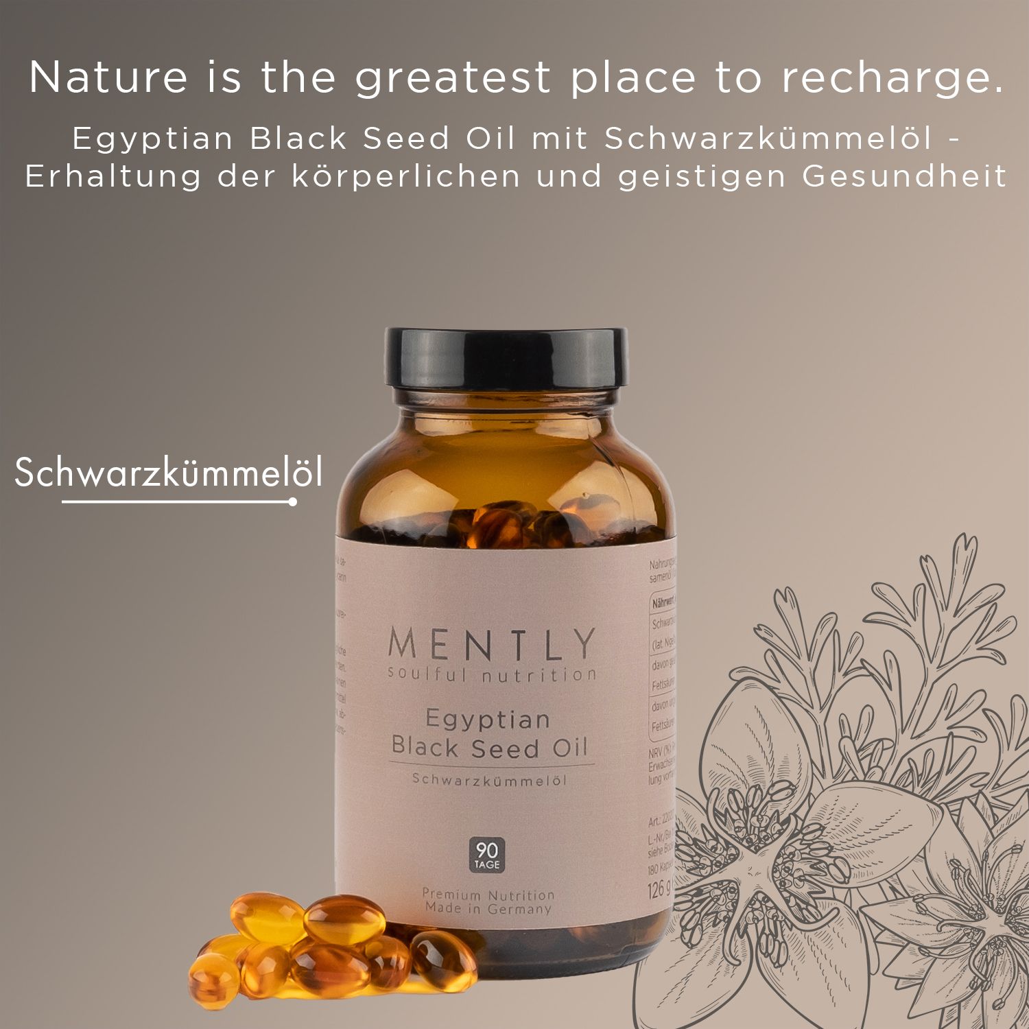 Braune Glasflasche mit Kapseln. Aufschrift: MENTLY, Egyptian Black Seed Oil, Schwarzkümmelöl, 90 Tage. Hintergrund mit Text und Zeichnung.